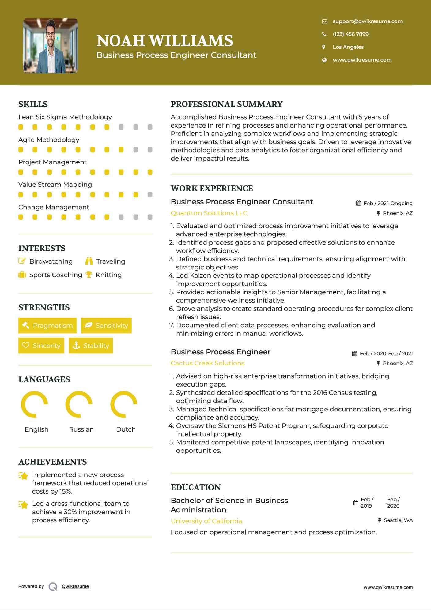 Business Process Engineer Consultant Resume Model