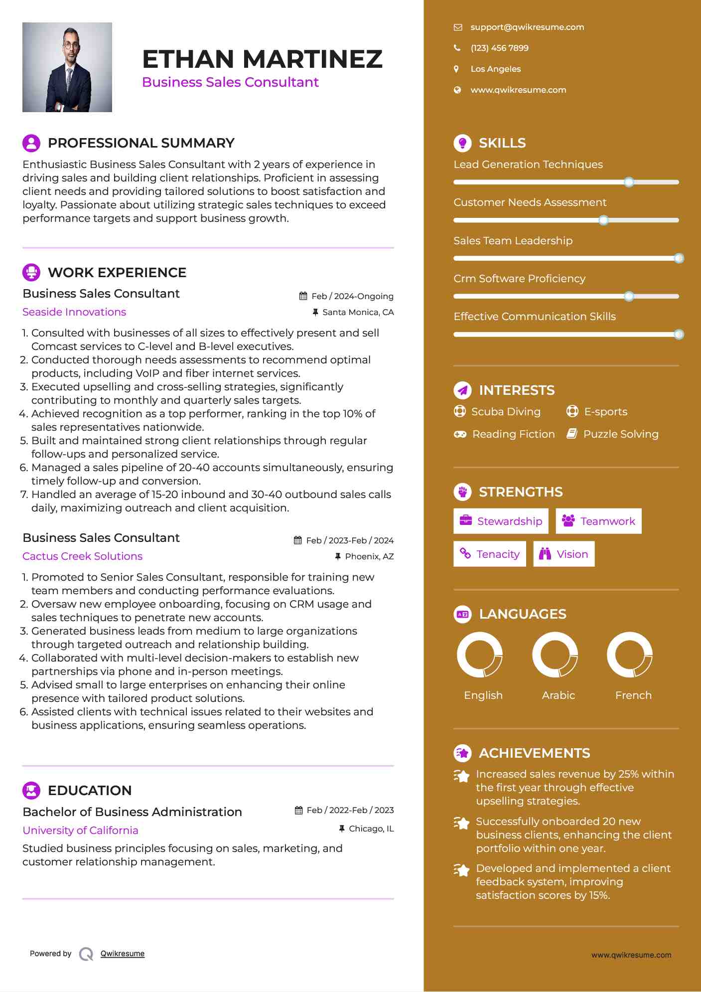 Business Sales Consultant Resume Sample