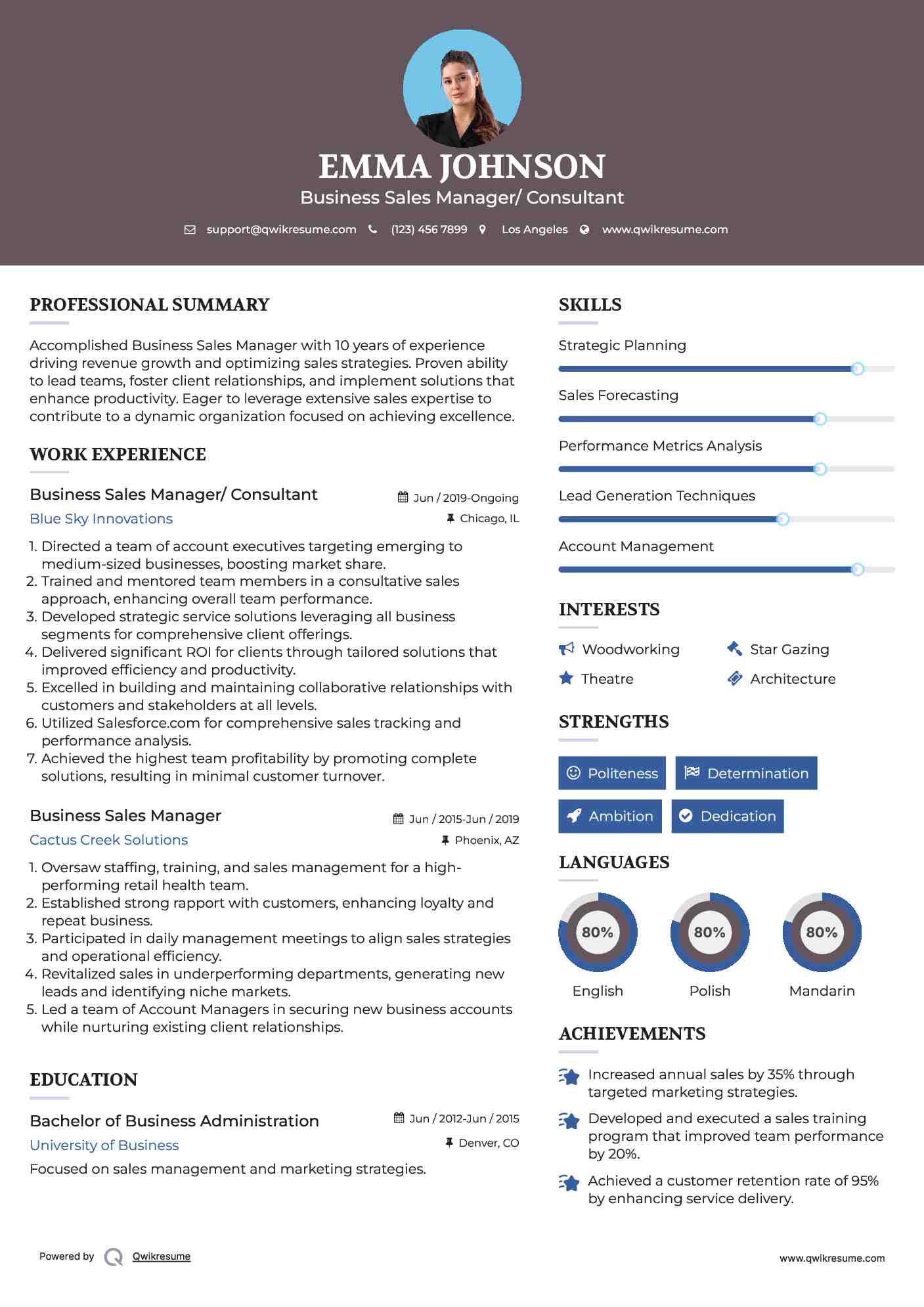Business Sales Manager/ Consultant Resume Model
