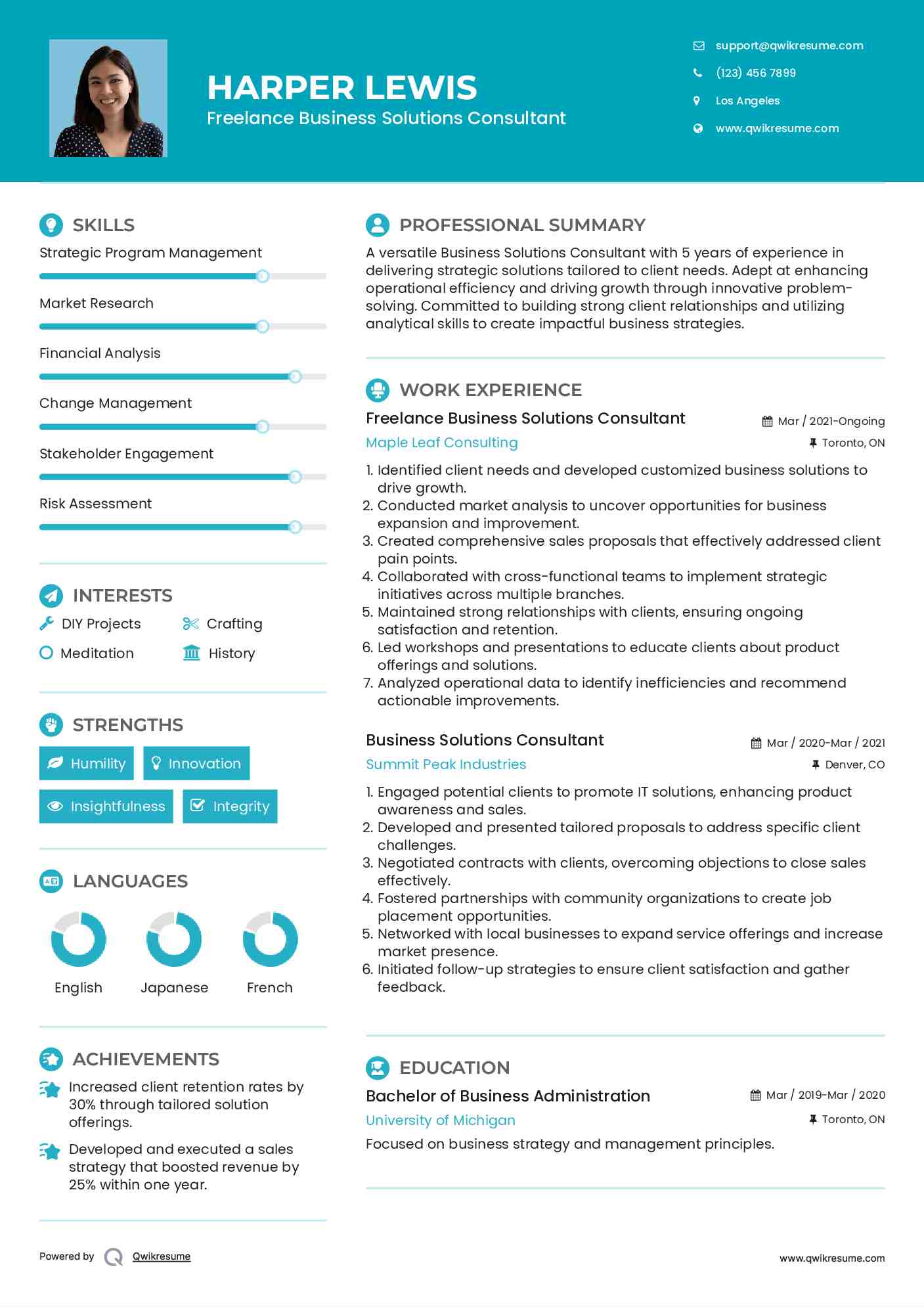 Freelance Business Solutions Consultant Resume Model