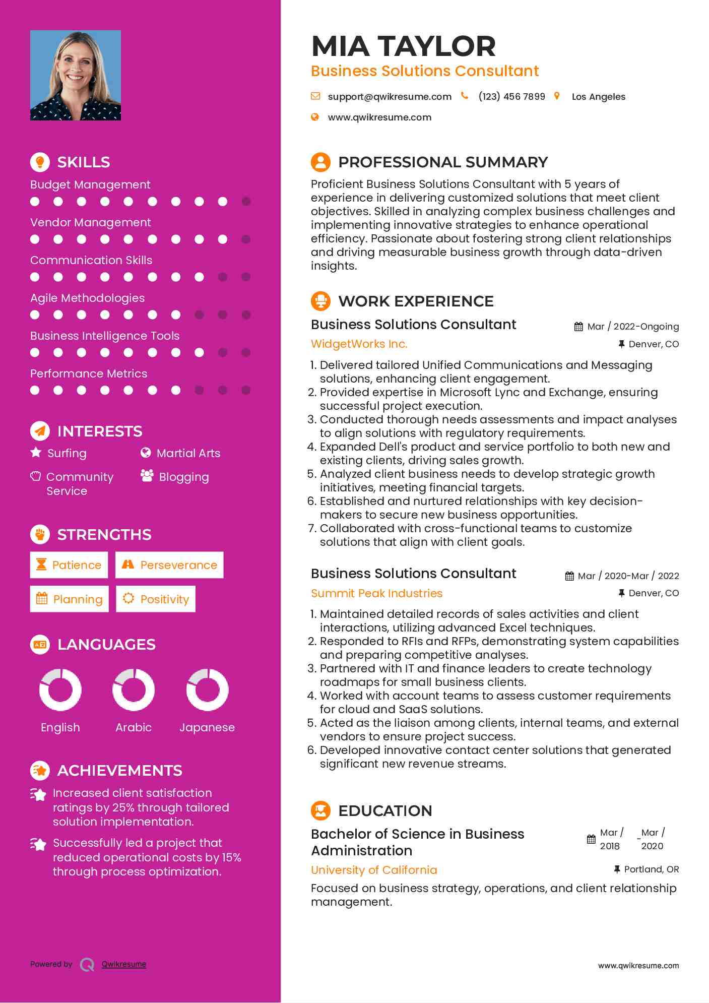 Business Solutions Consultant Resume Sample