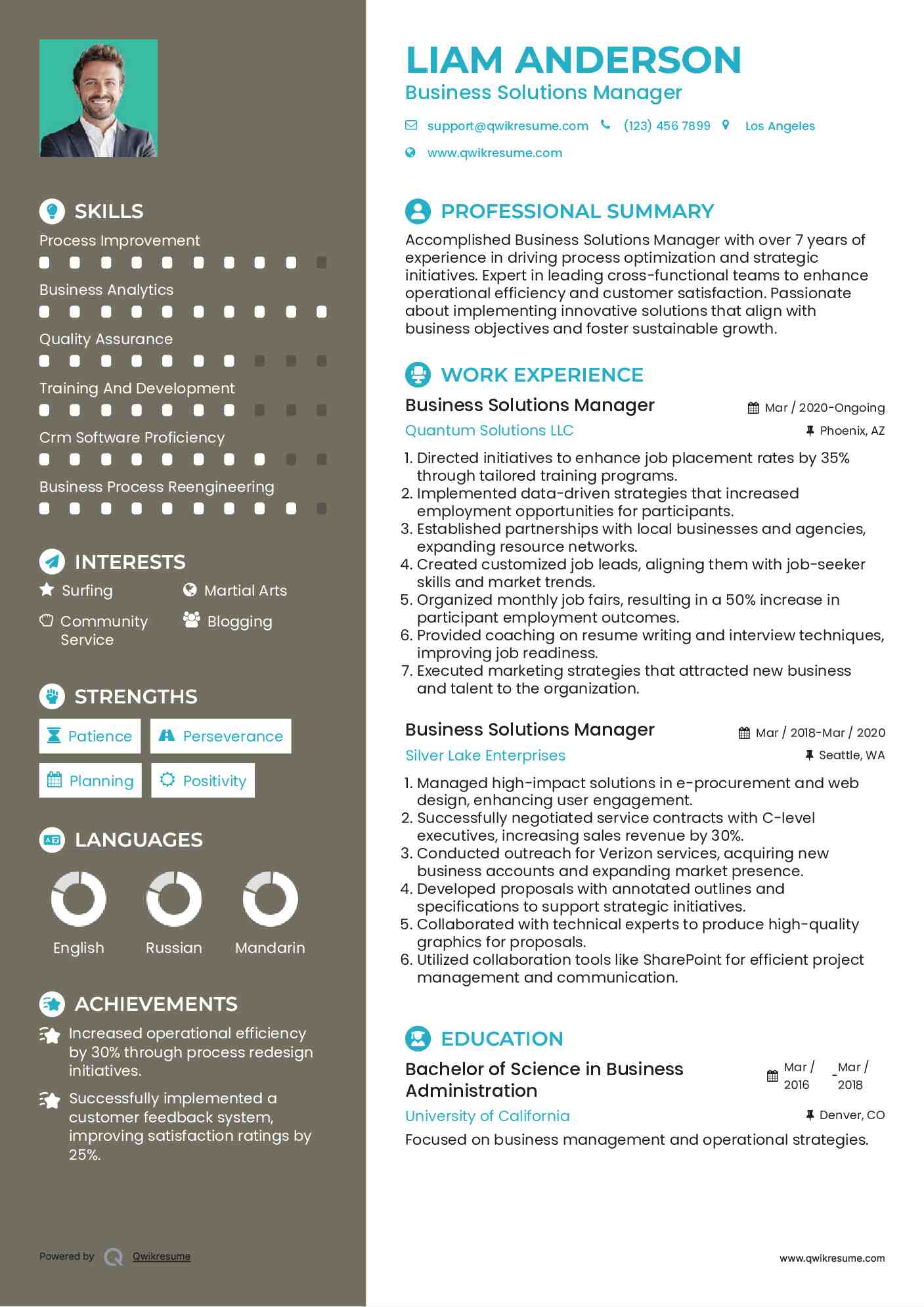 Business Solutions Manager Resume Model