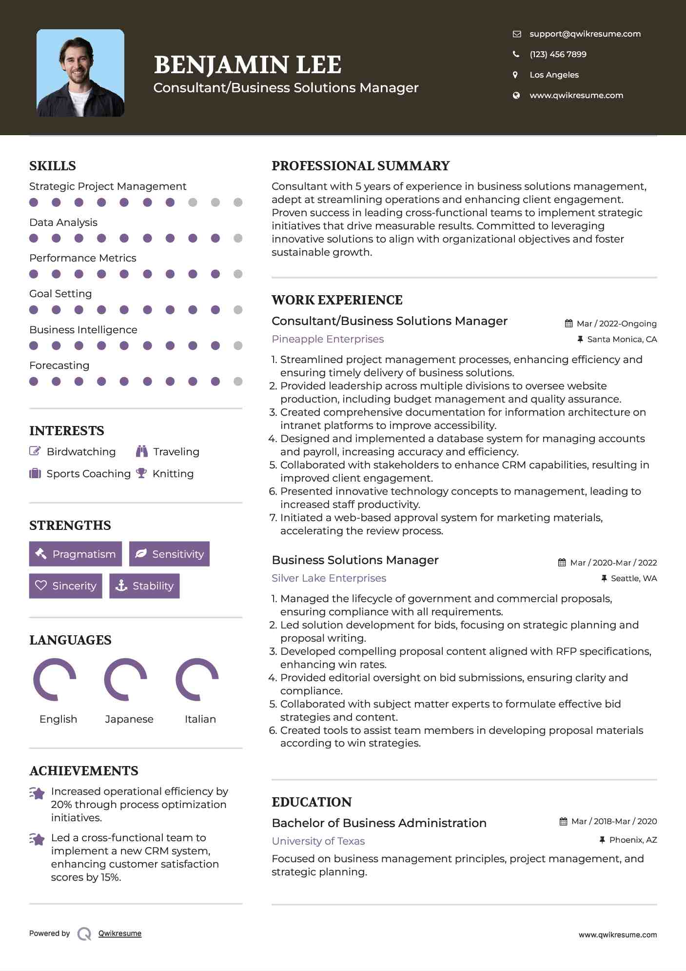 Consultant/Business Solutions Manager Resume Model