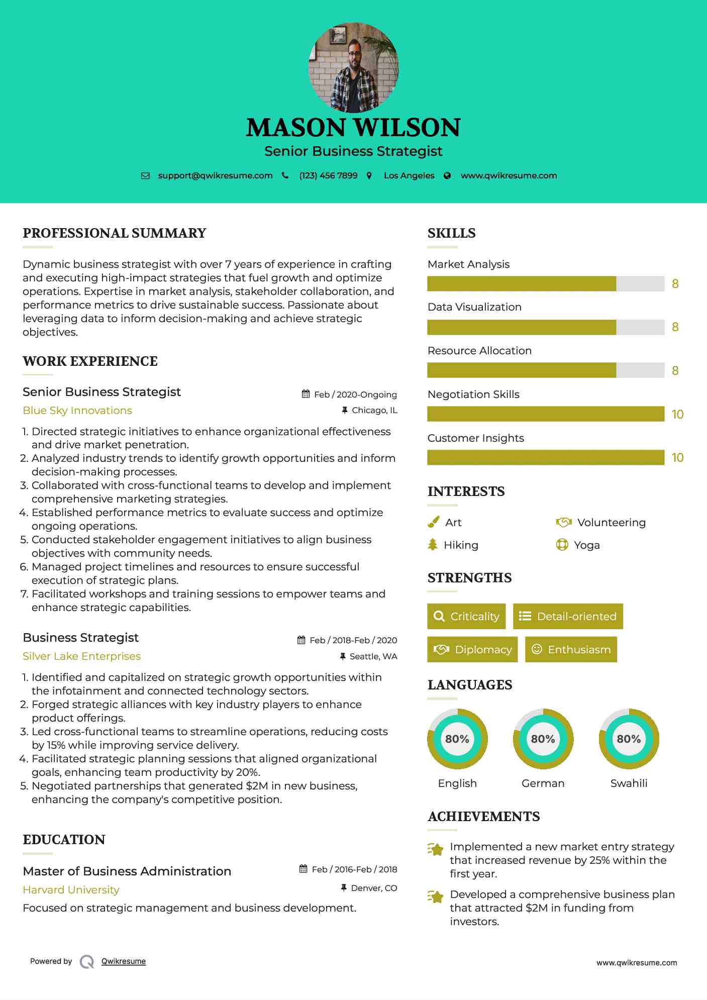 Senior Business Strategist Resume Model