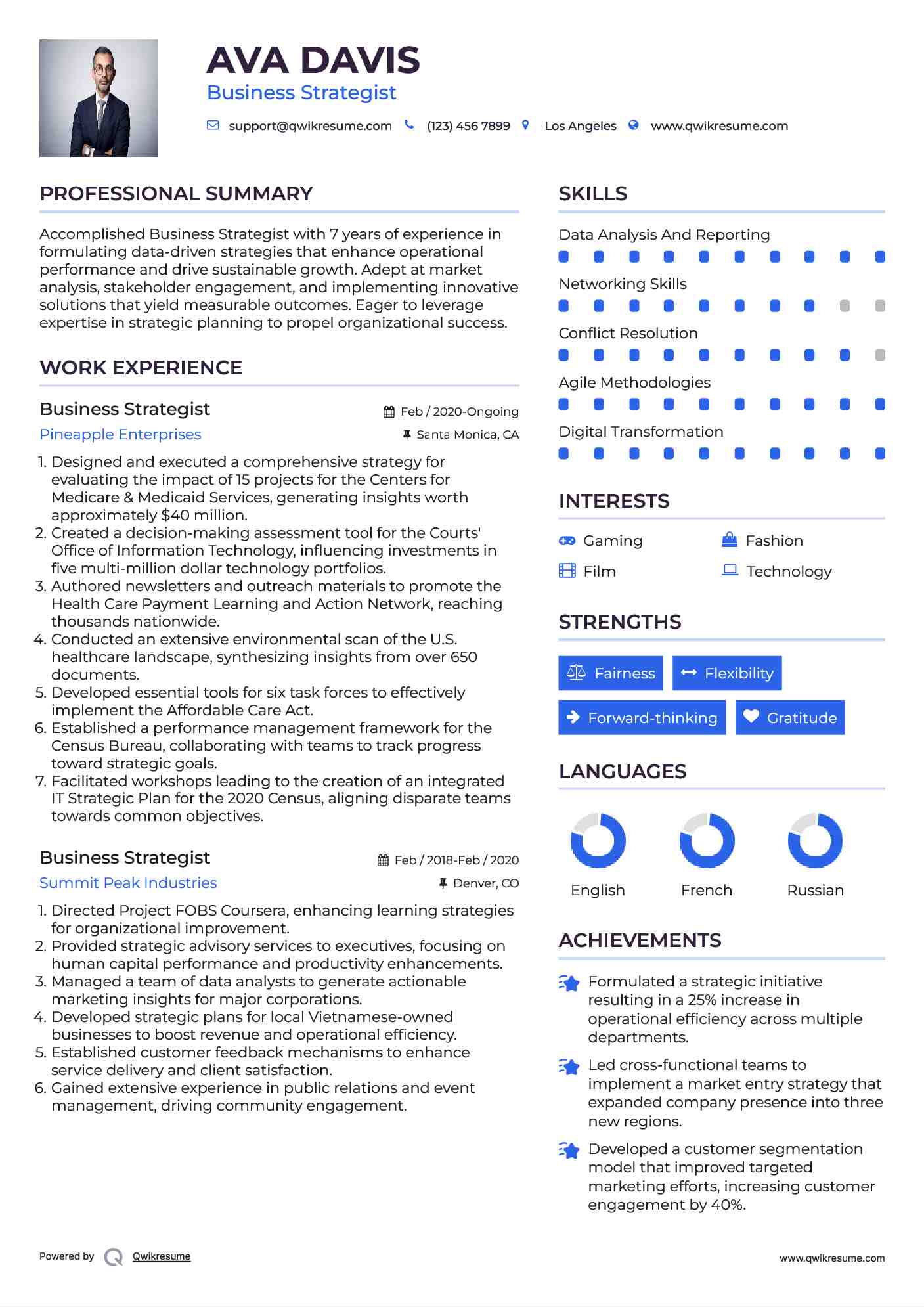 Business Strategist Resume Model