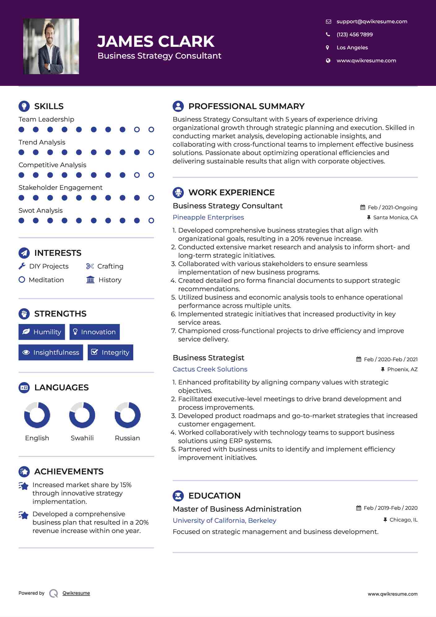 Business Strategy Consultant Resume Model