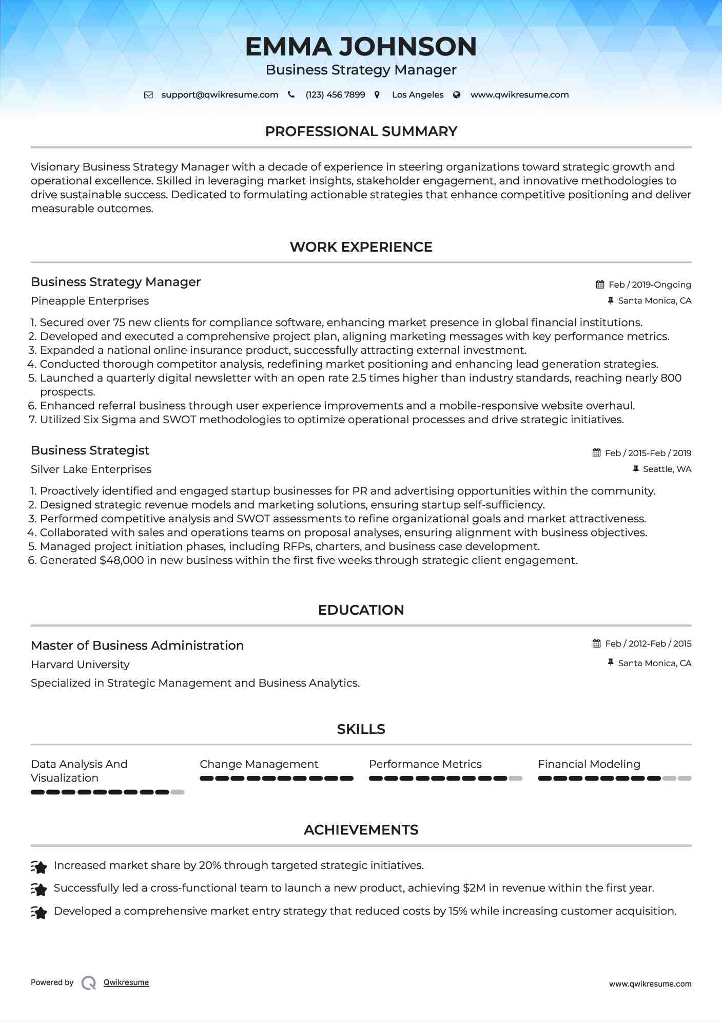 Business Strategy Manager Resume Format