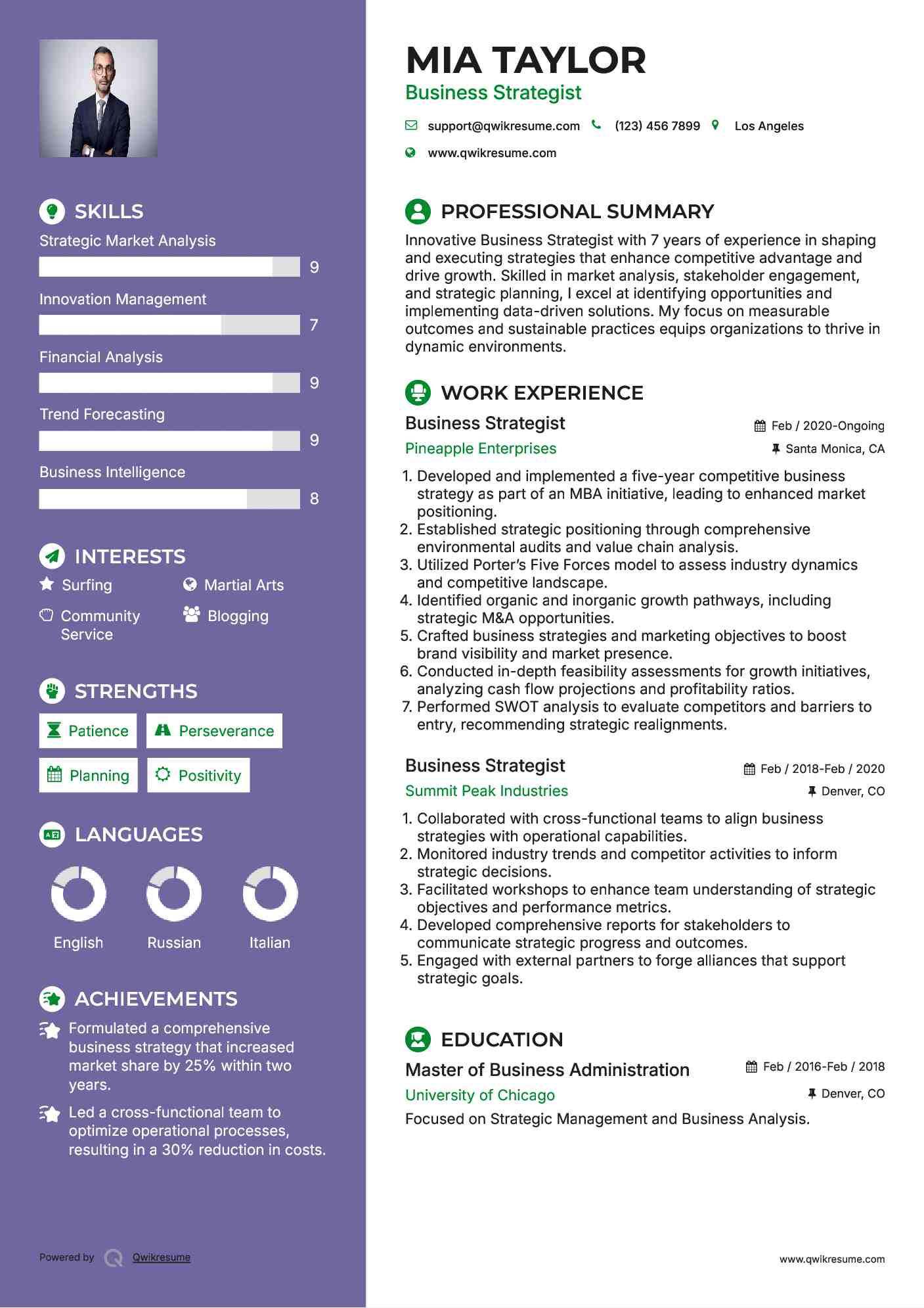Business Strategist Resume Model