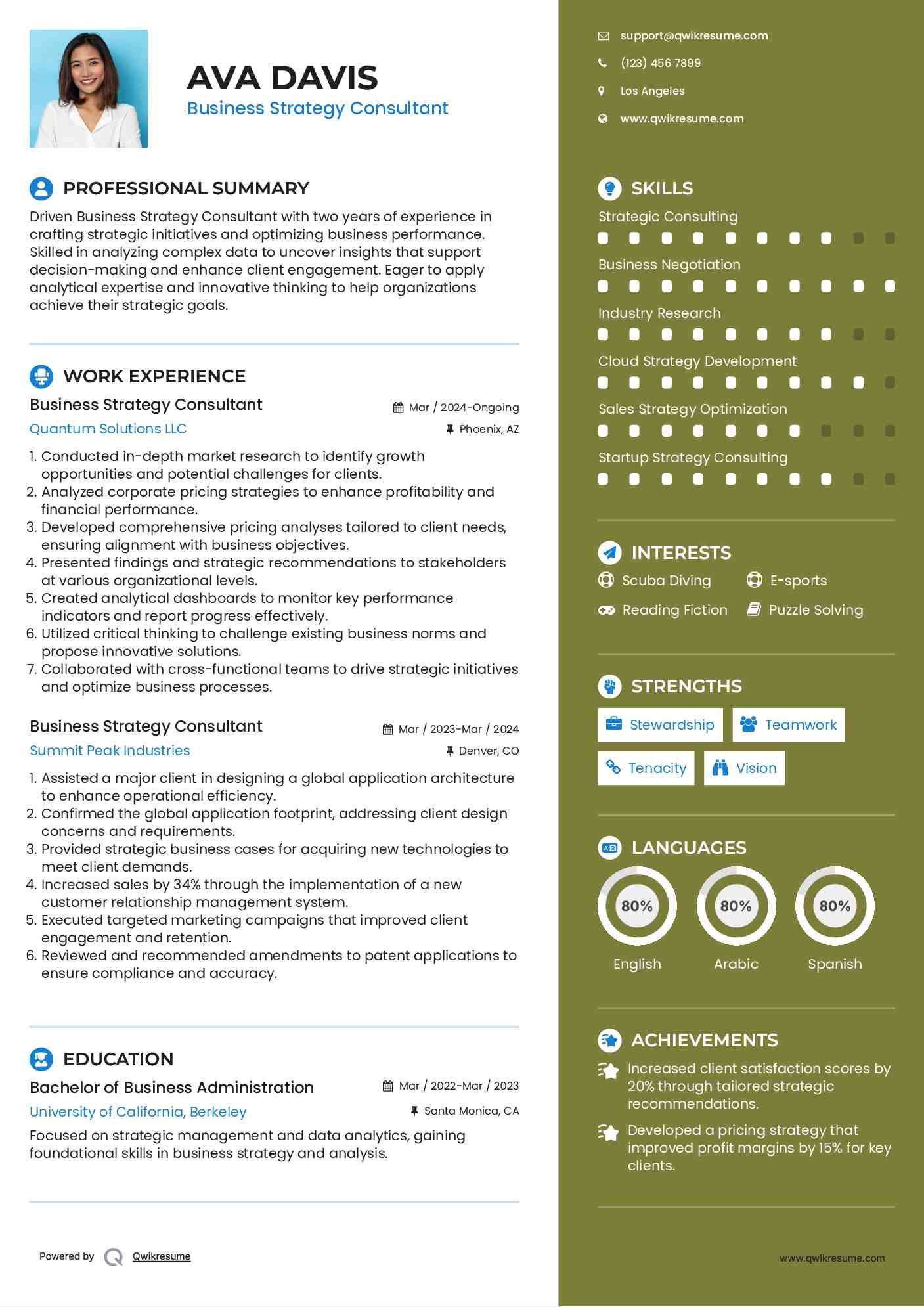 Business Strategy Consultant Resume Model