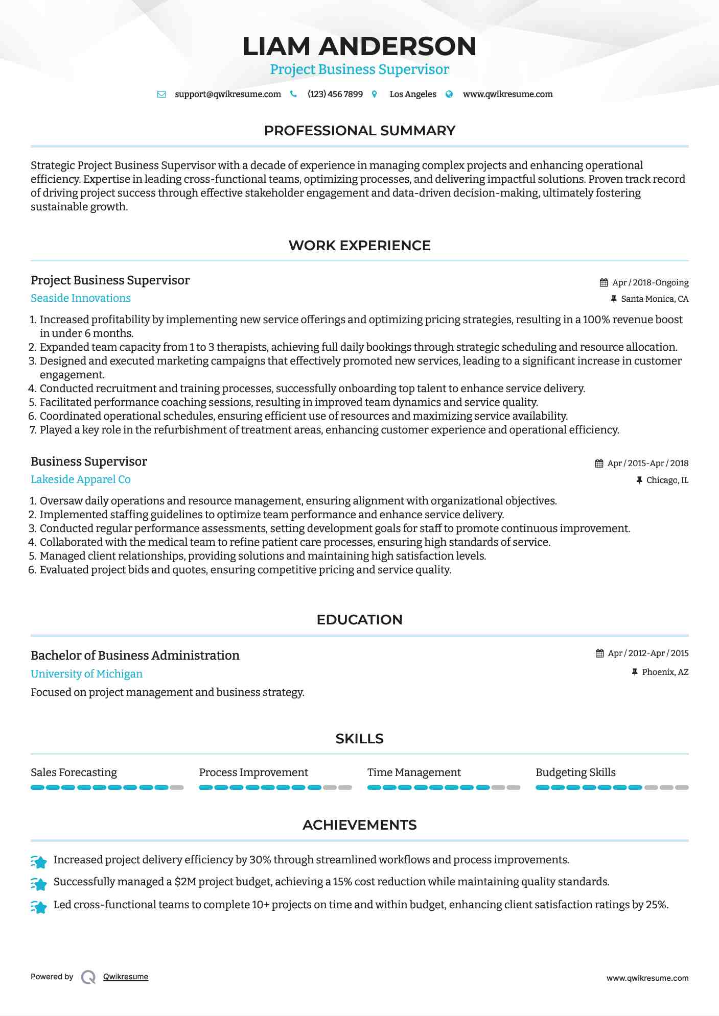 Project Business Supervisor Resume Example