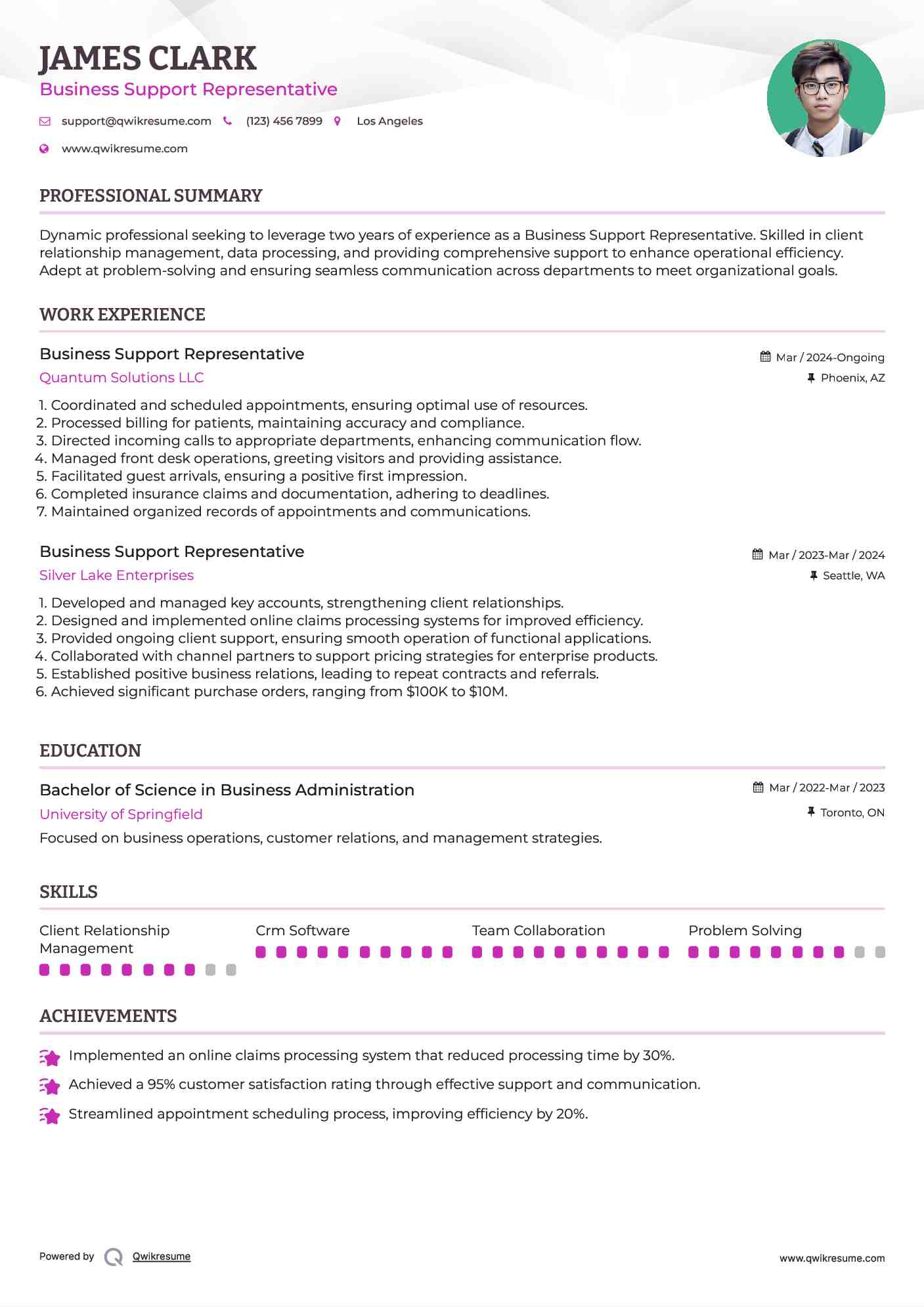 Business Support Representative Resume Template