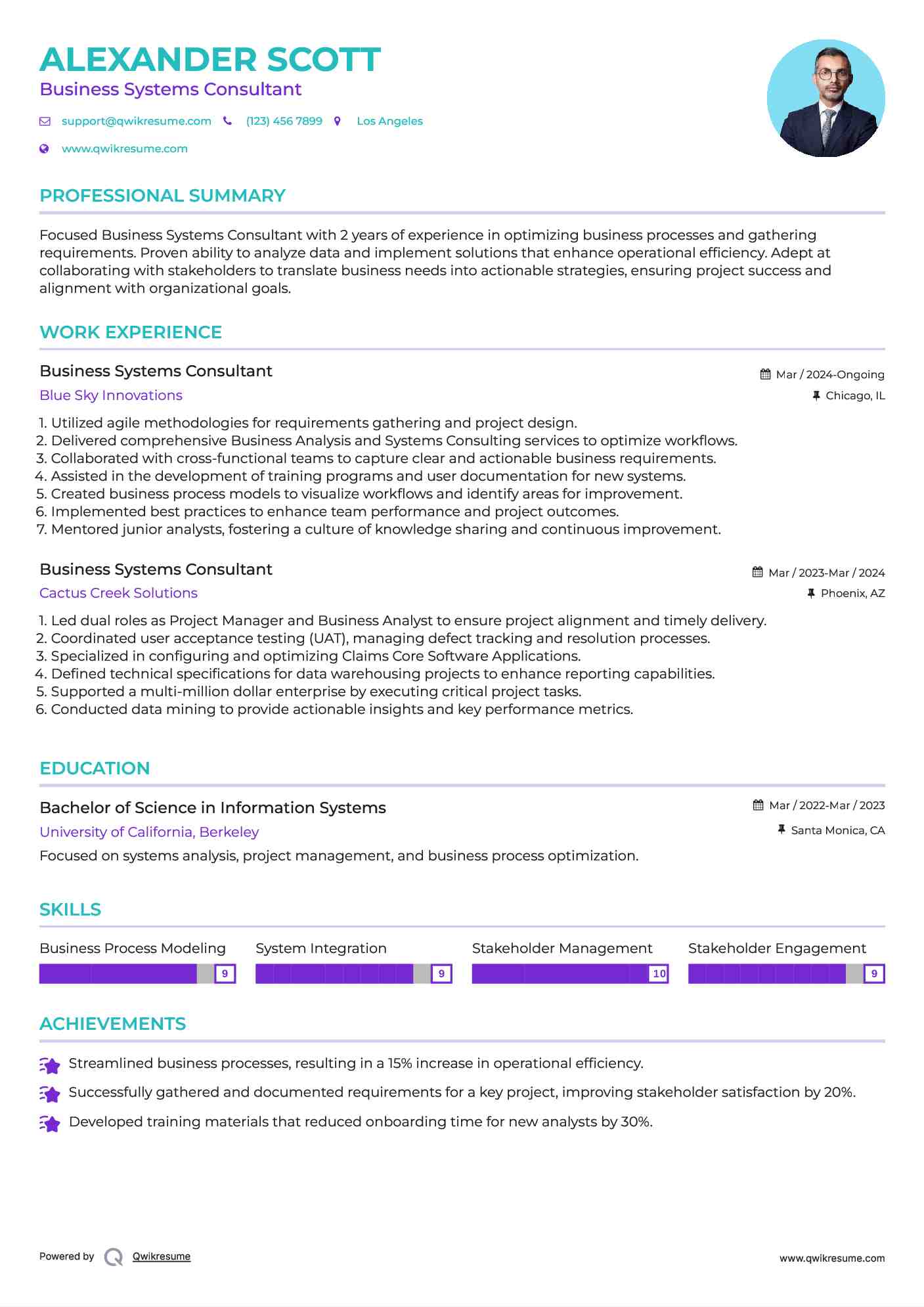 Business Systems Consultant Resume Sample