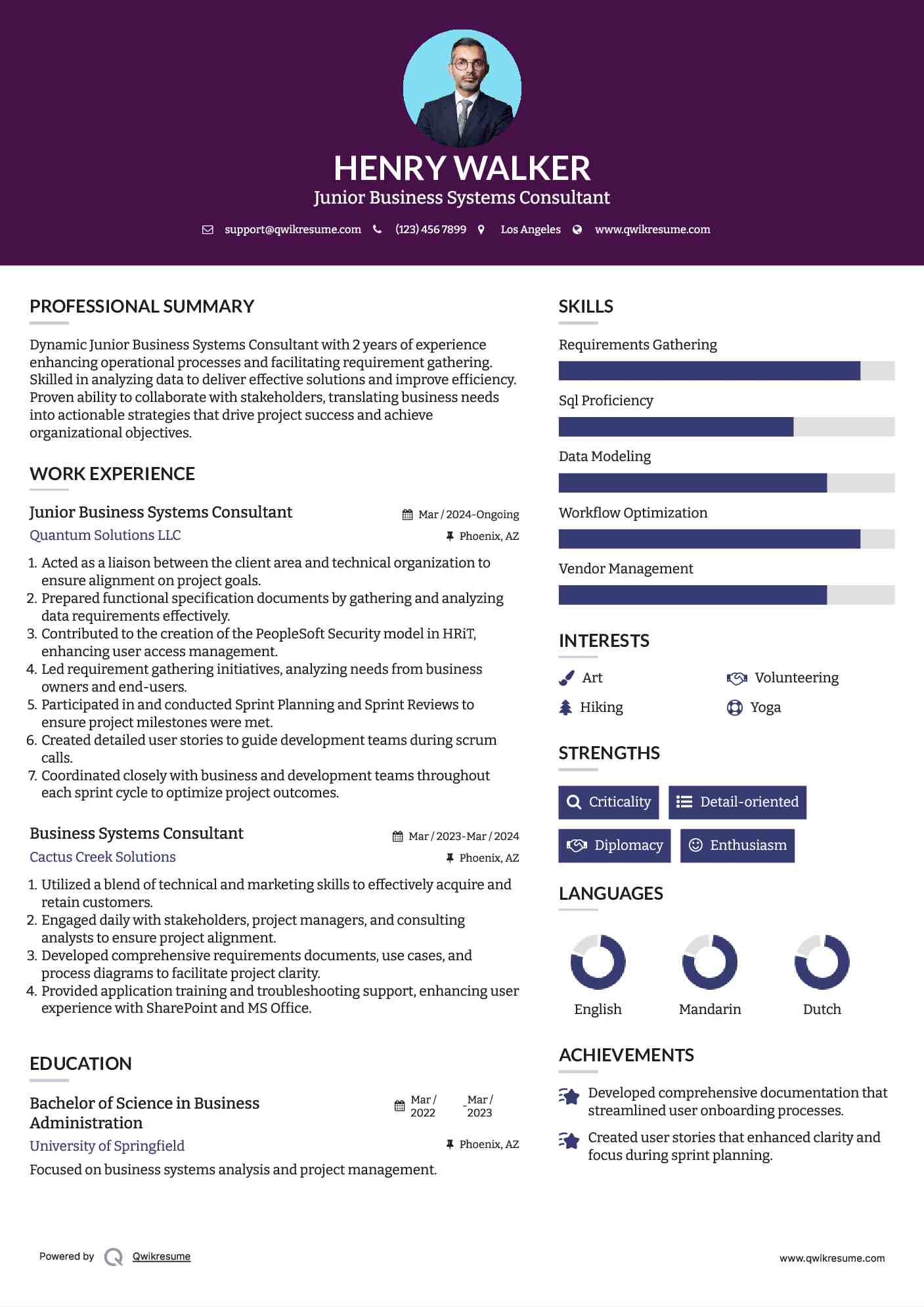 Junior Business Systems Consultant Resume Template
