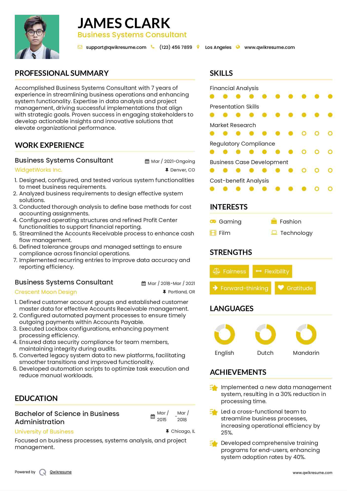 Business Systems Consultant Resume Format