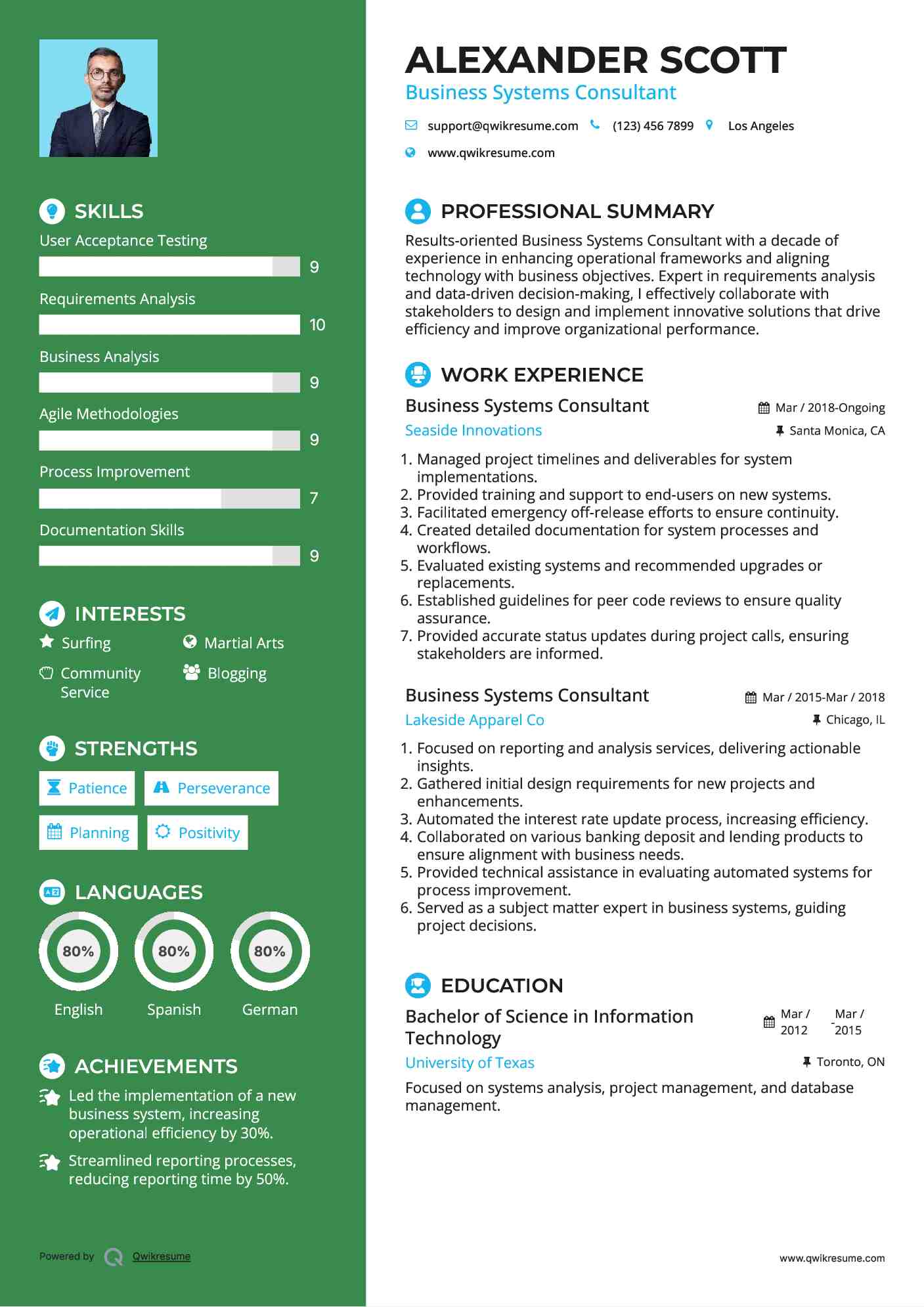 Business Systems Consultant Resume Model