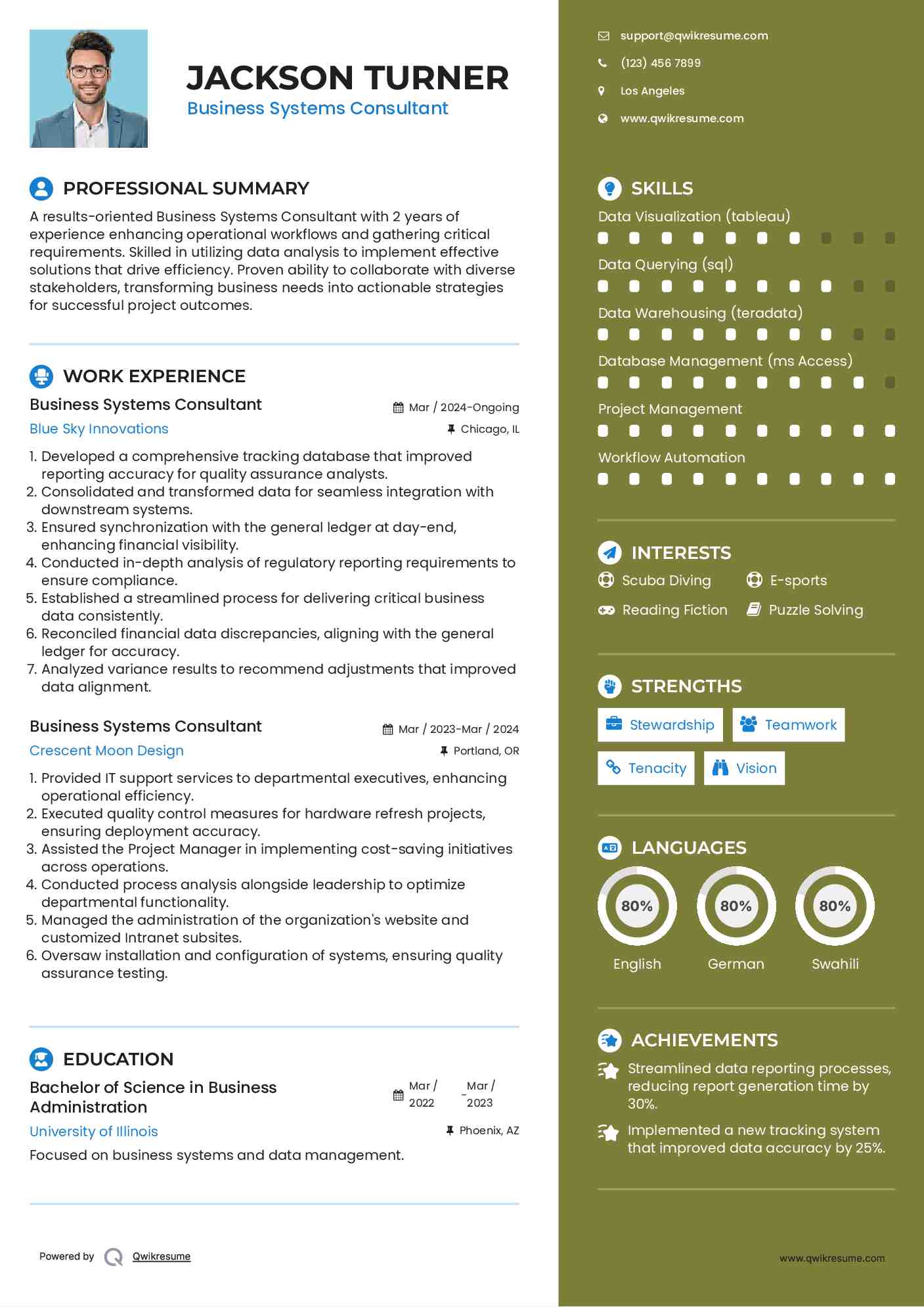 Business Systems Consultant Resume Sample