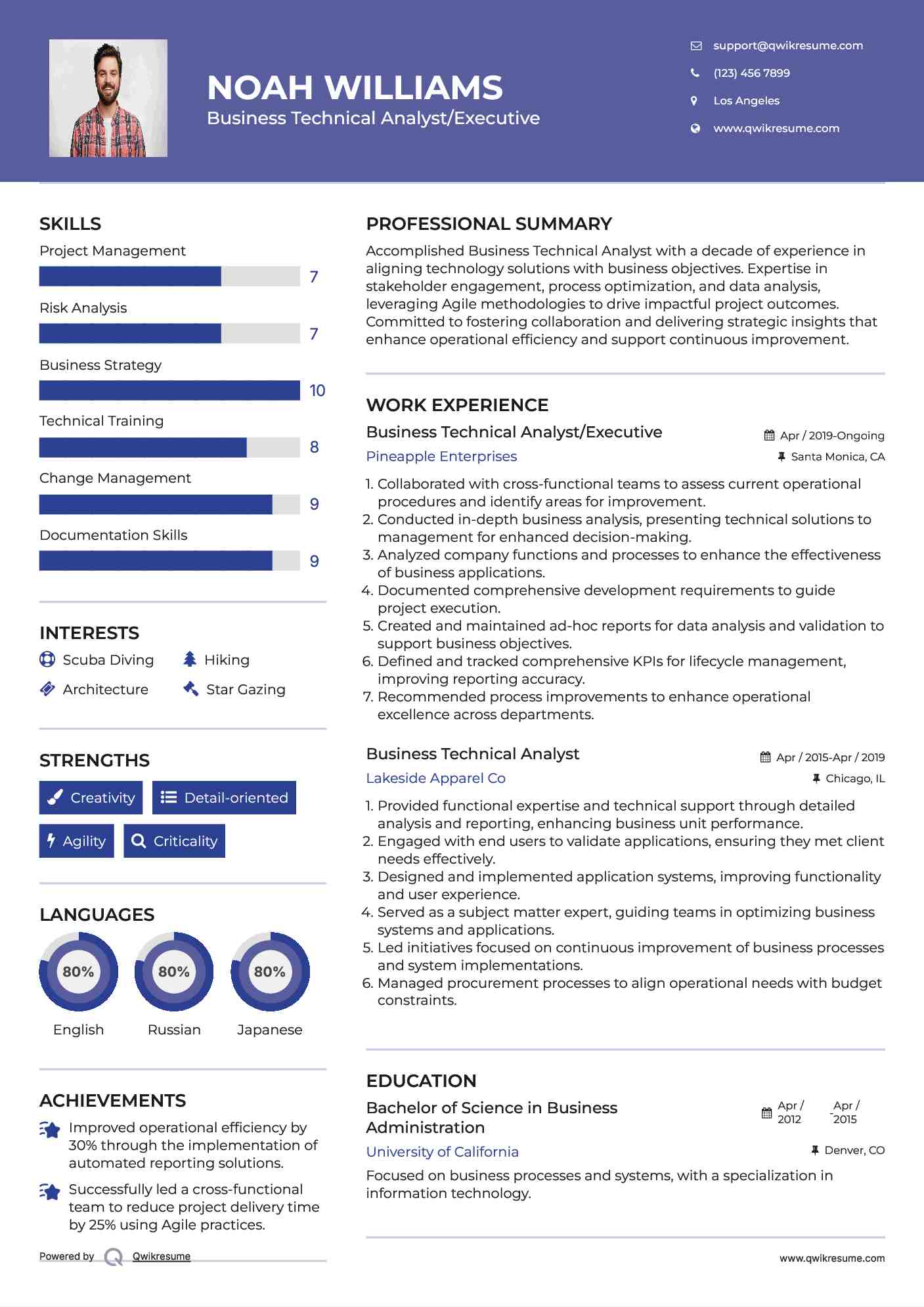 Business Technical Analyst/Executive Resume Sample