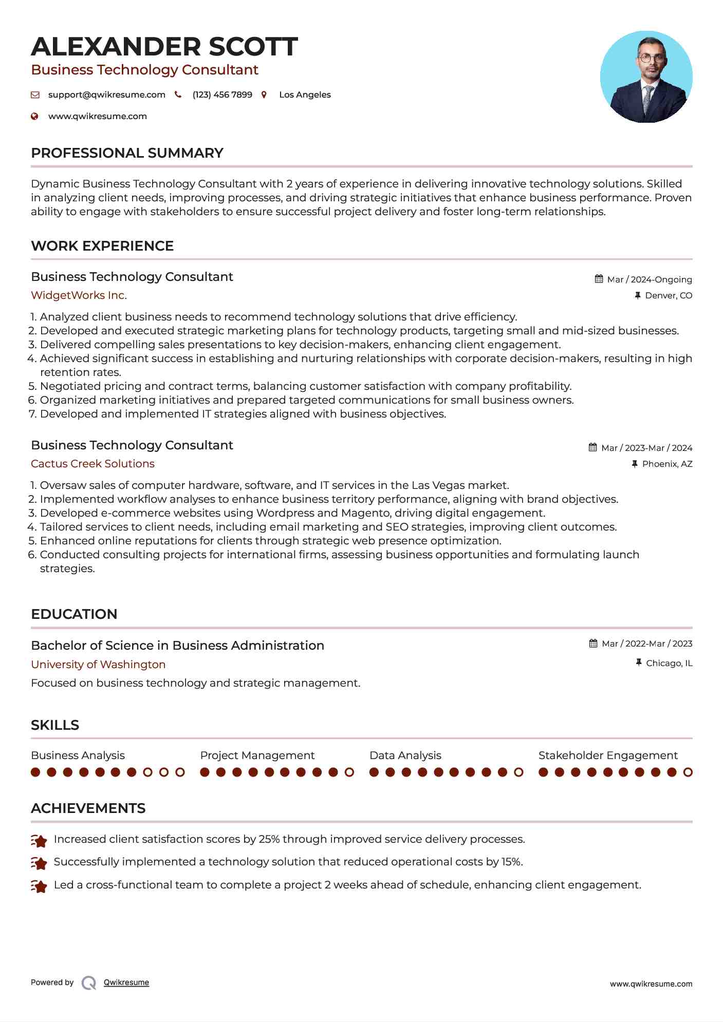 Business Technology Consultant Resume Sample