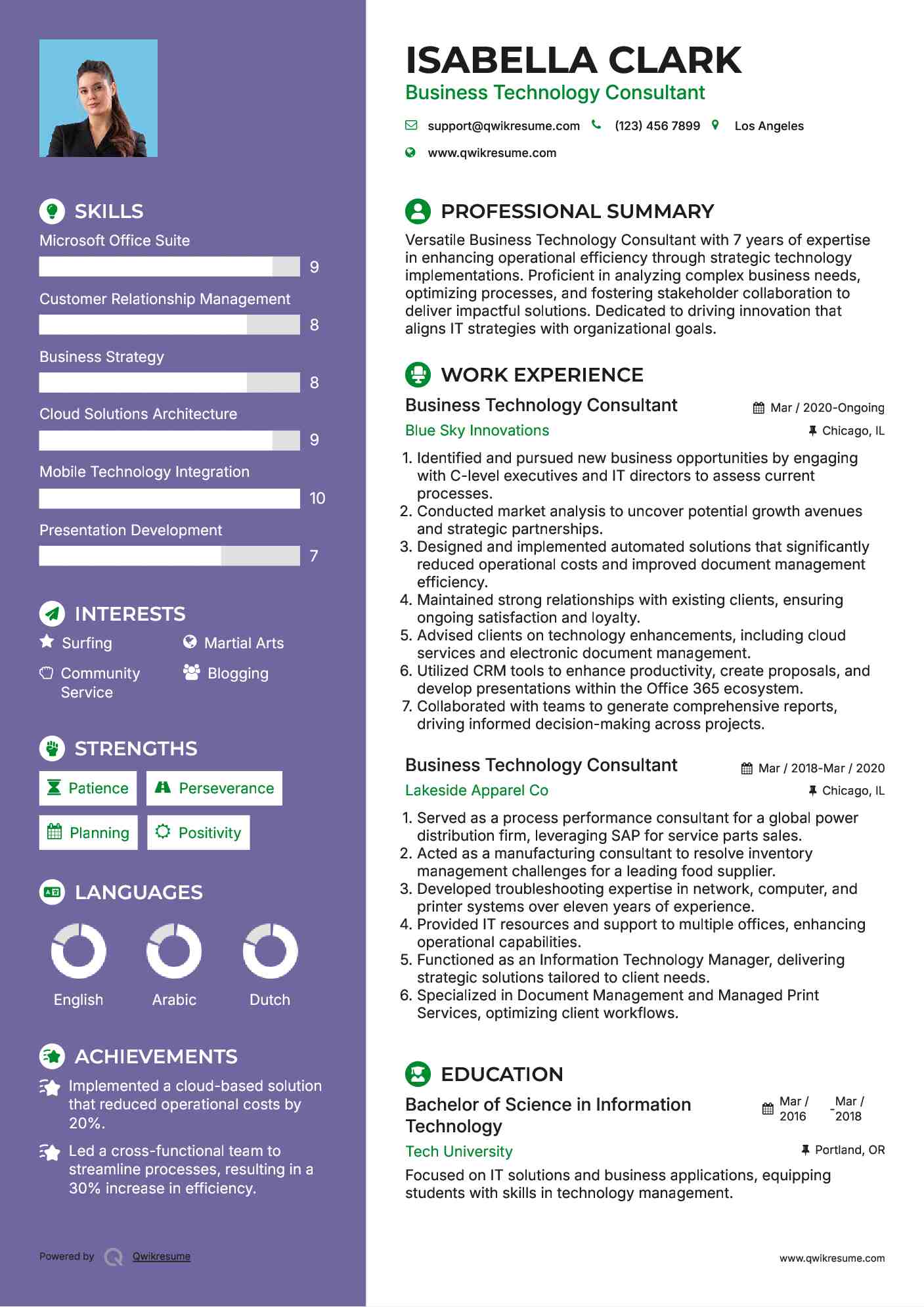 Business Technology Consultant Resume Model