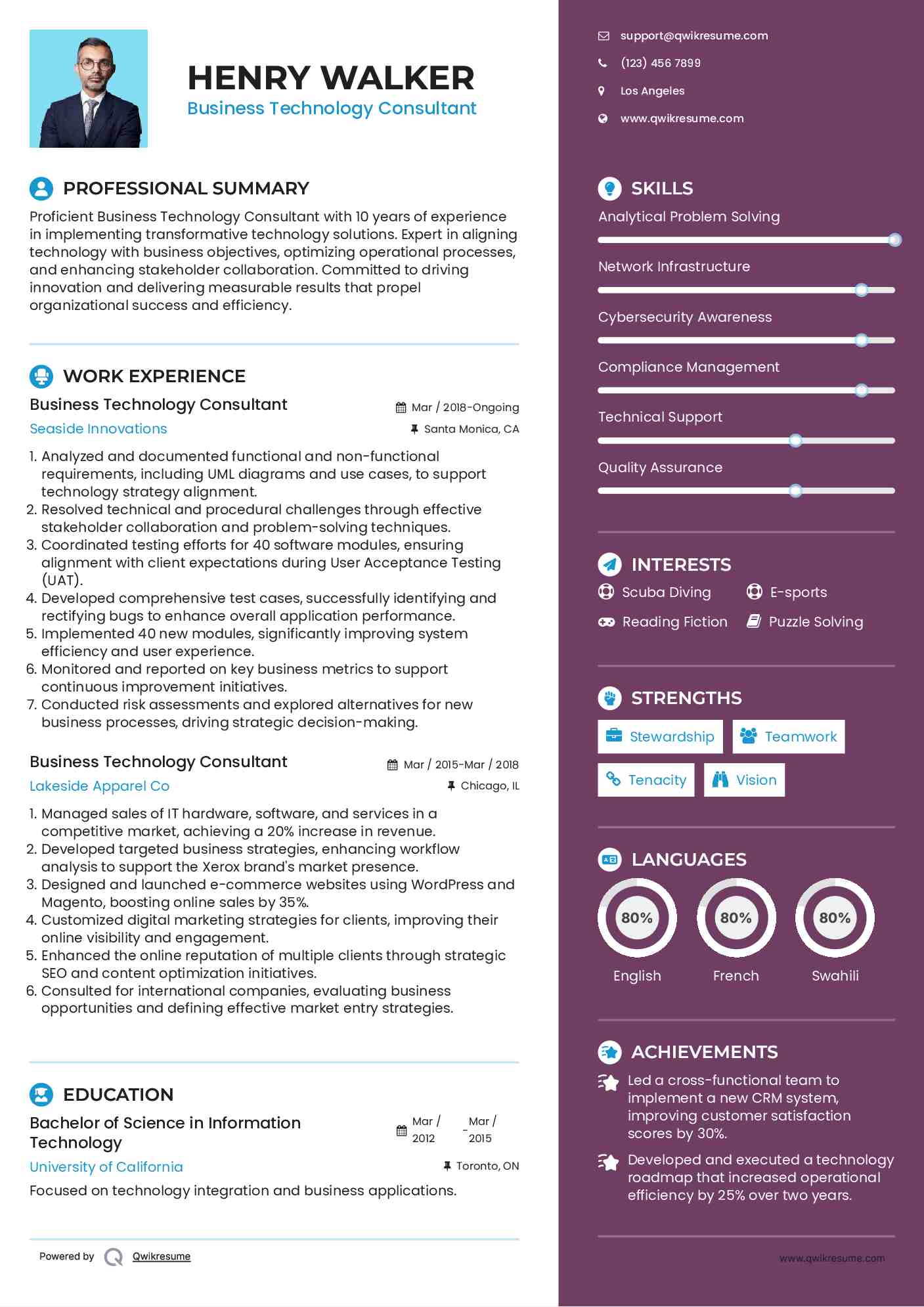 Business Technology Consultant Resume Format