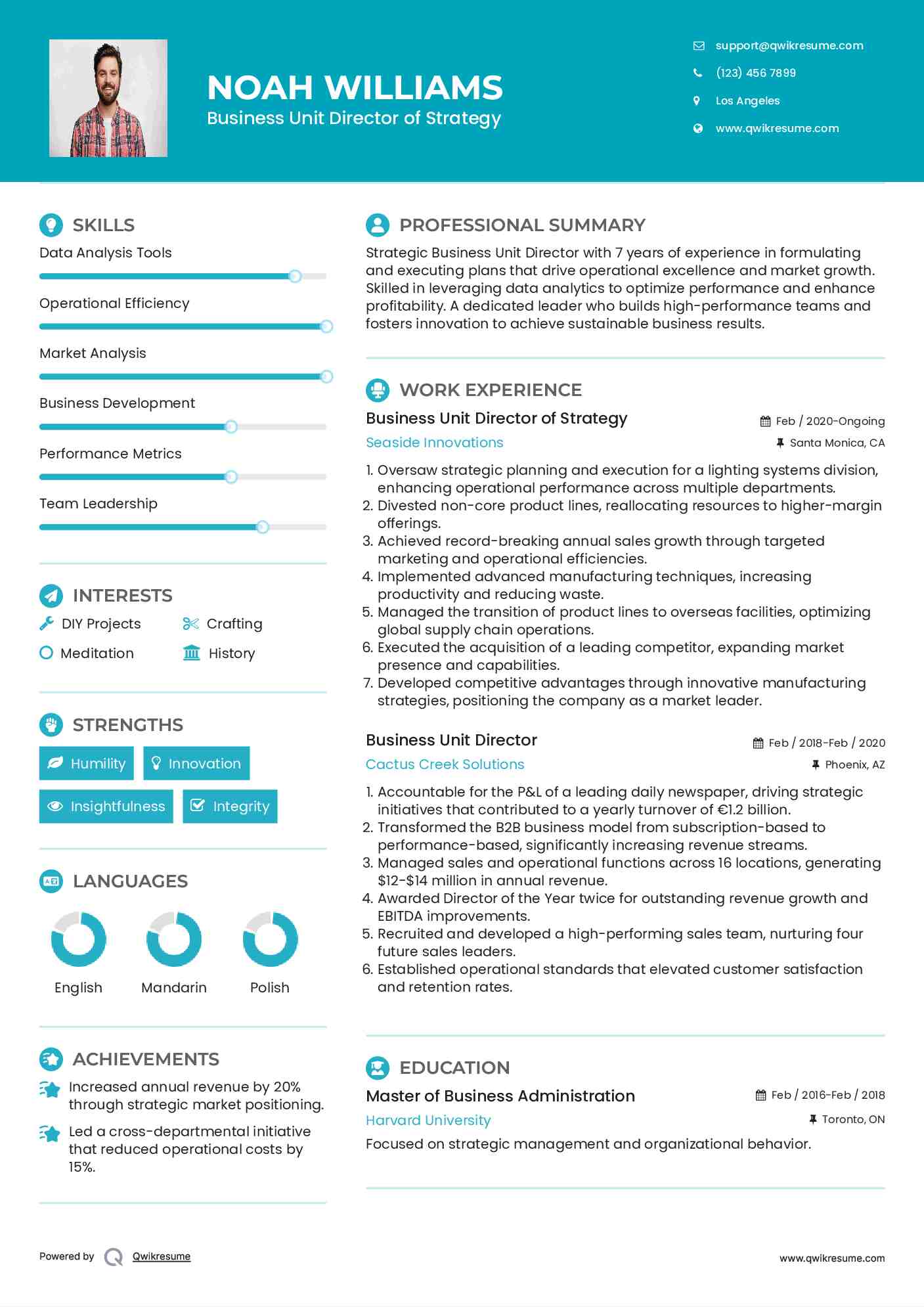 Business Unit Director of Strategy Resume Model