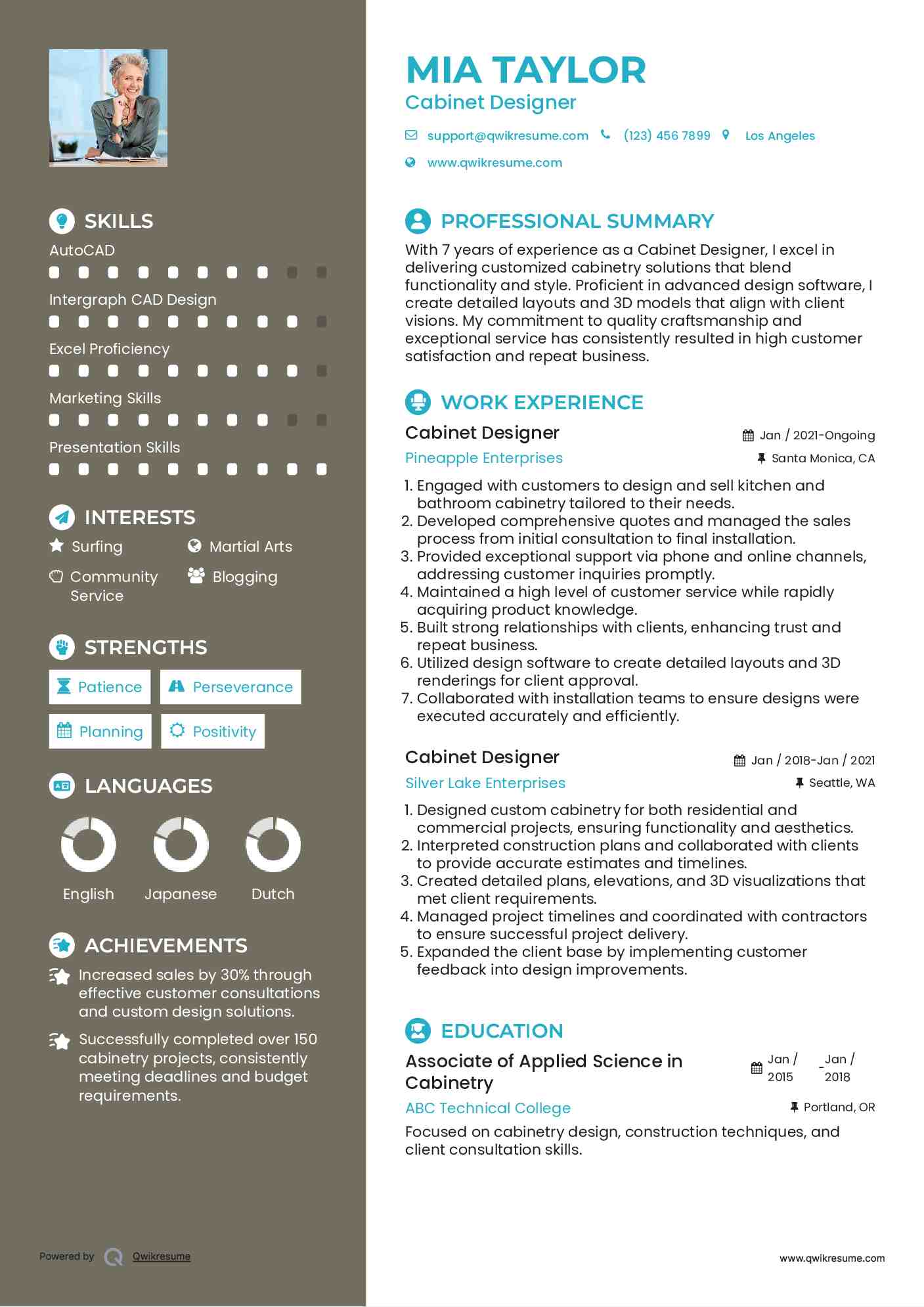 Cabinet Designer Resume Model