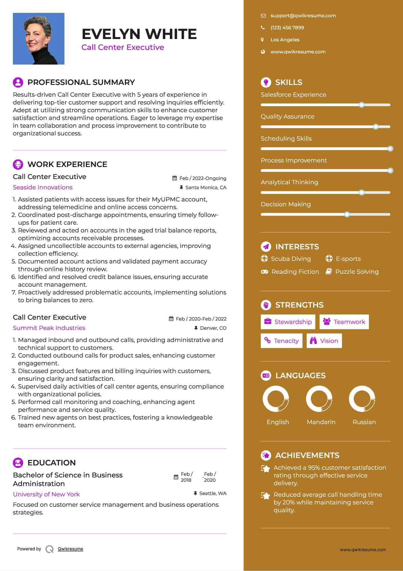 Call Center Executive Resume Sample