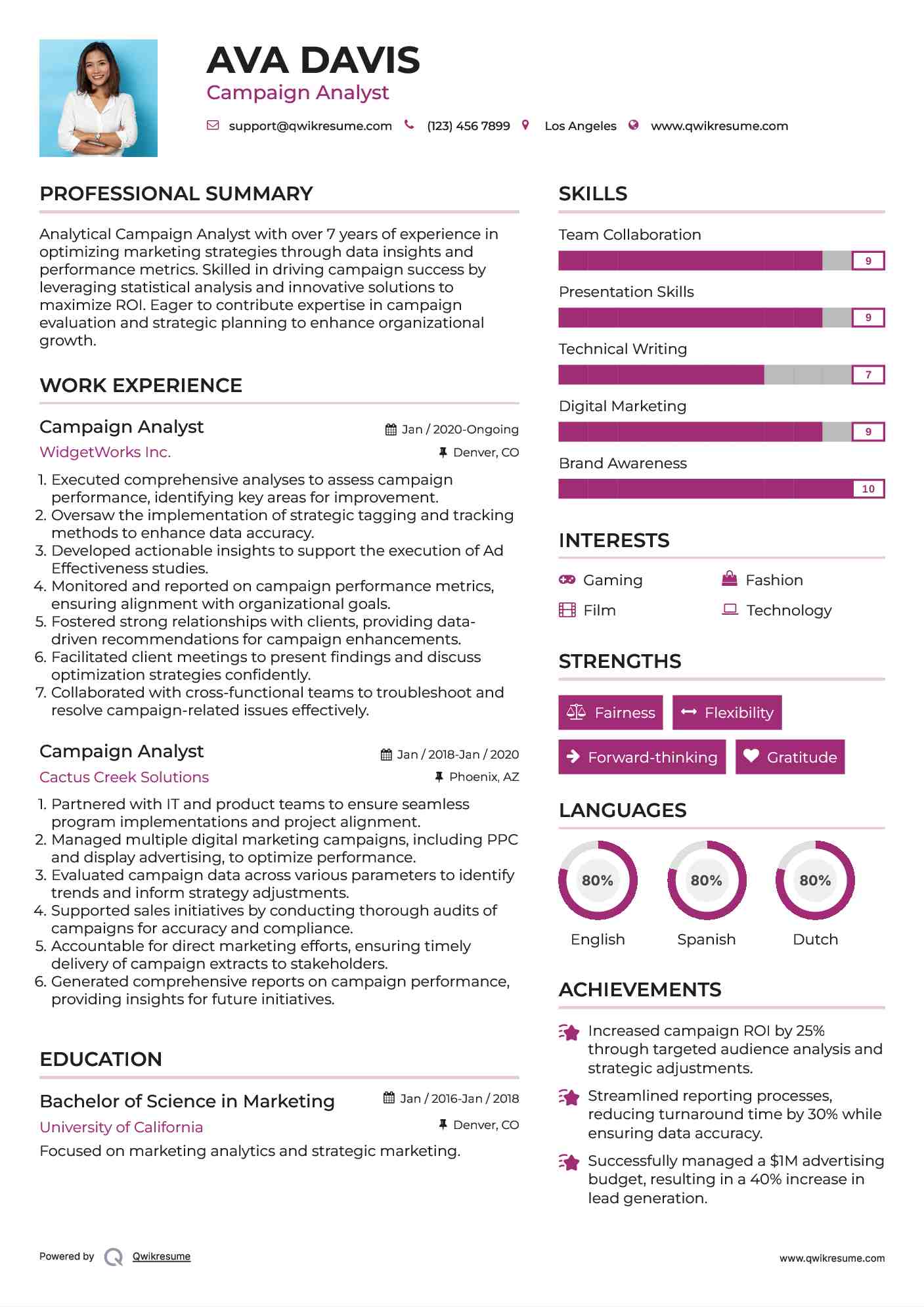 Campaign Analyst Resume Model