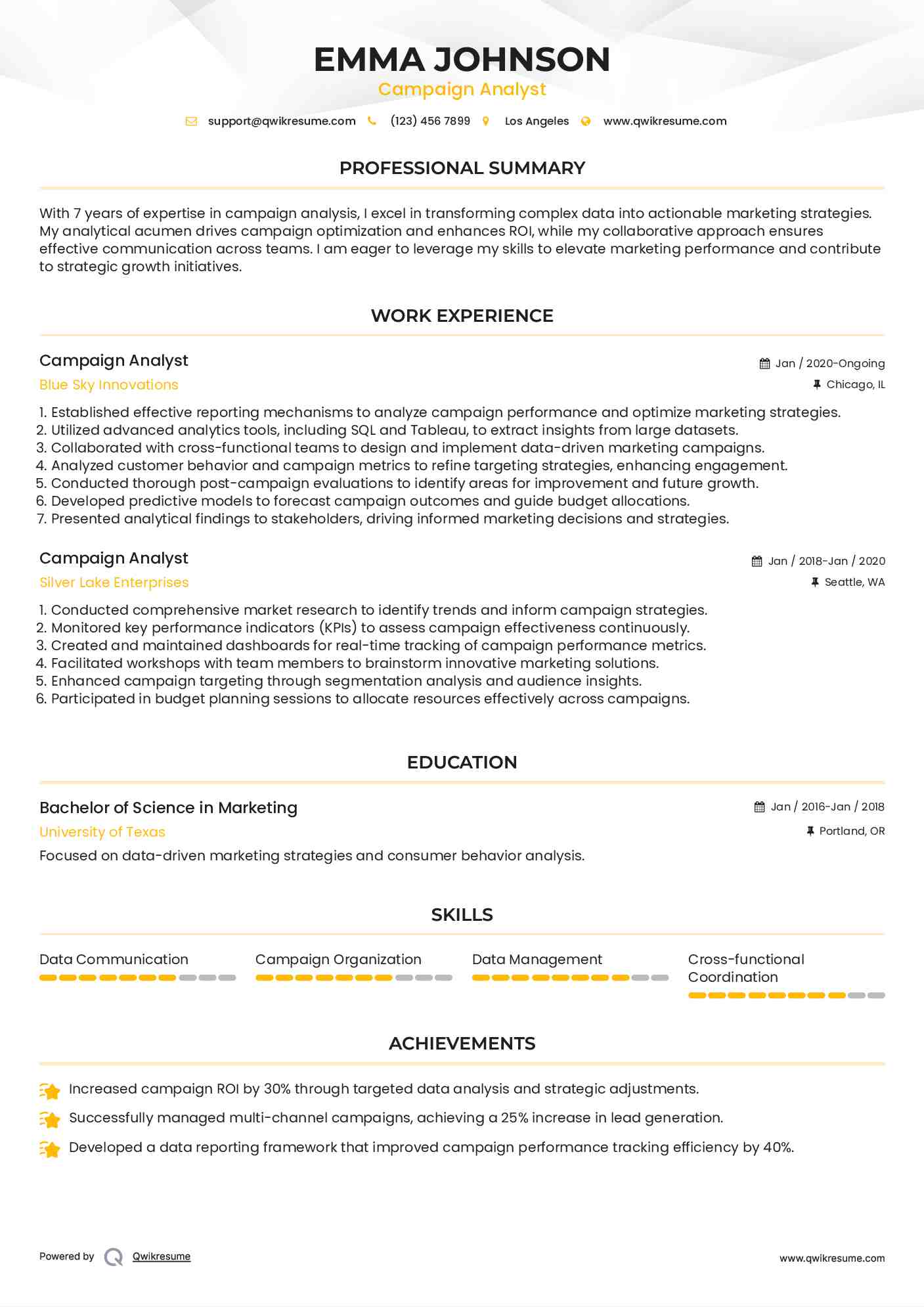 Campaign Analyst Resume Example