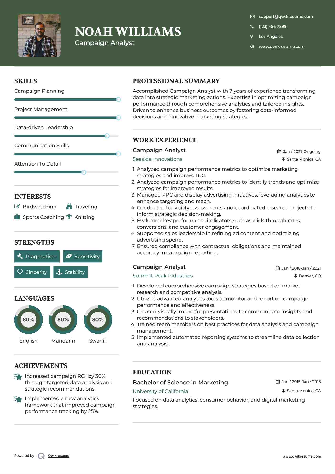 Campaign Analyst Resume Sample