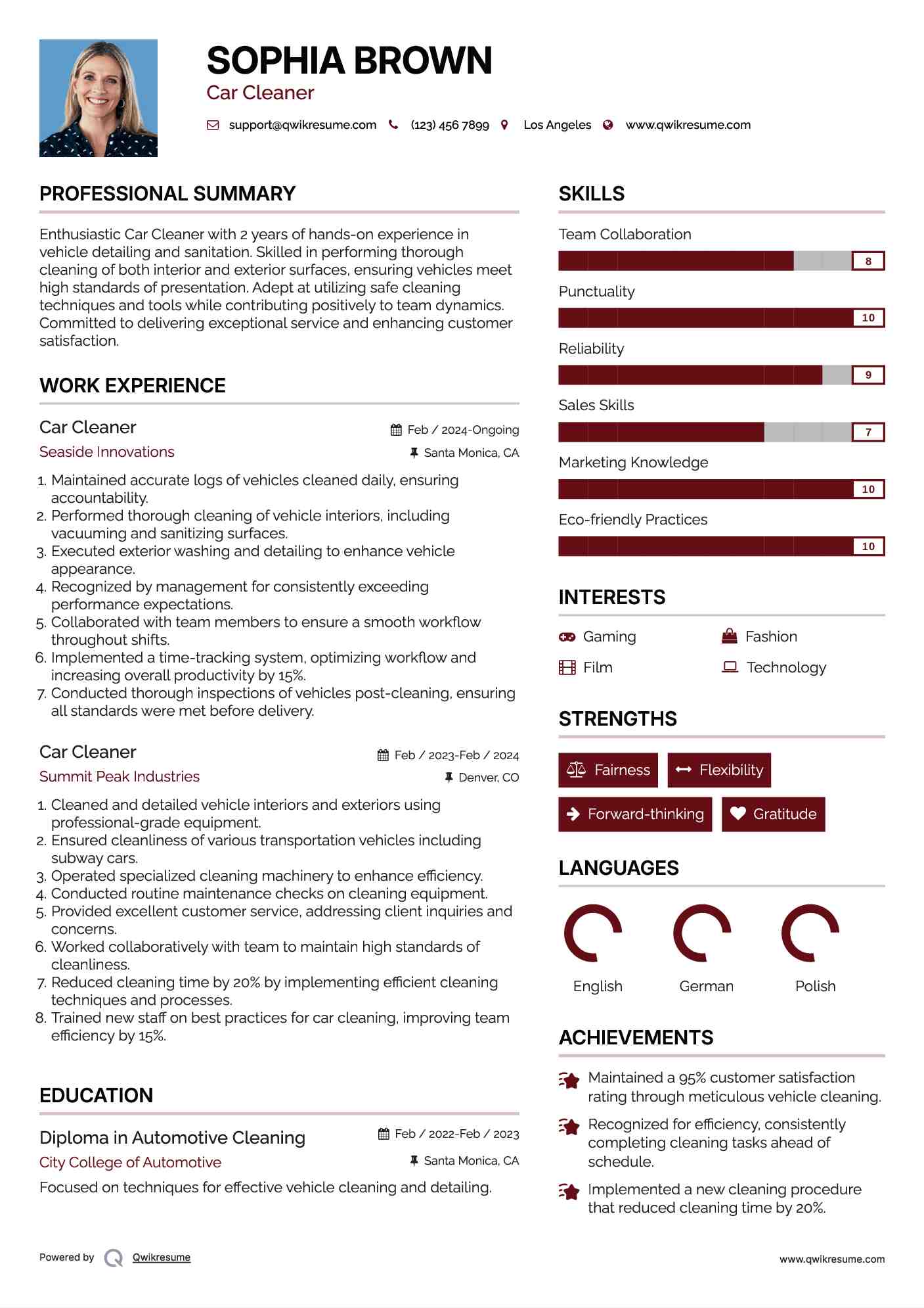 Car Cleaner Resume Template