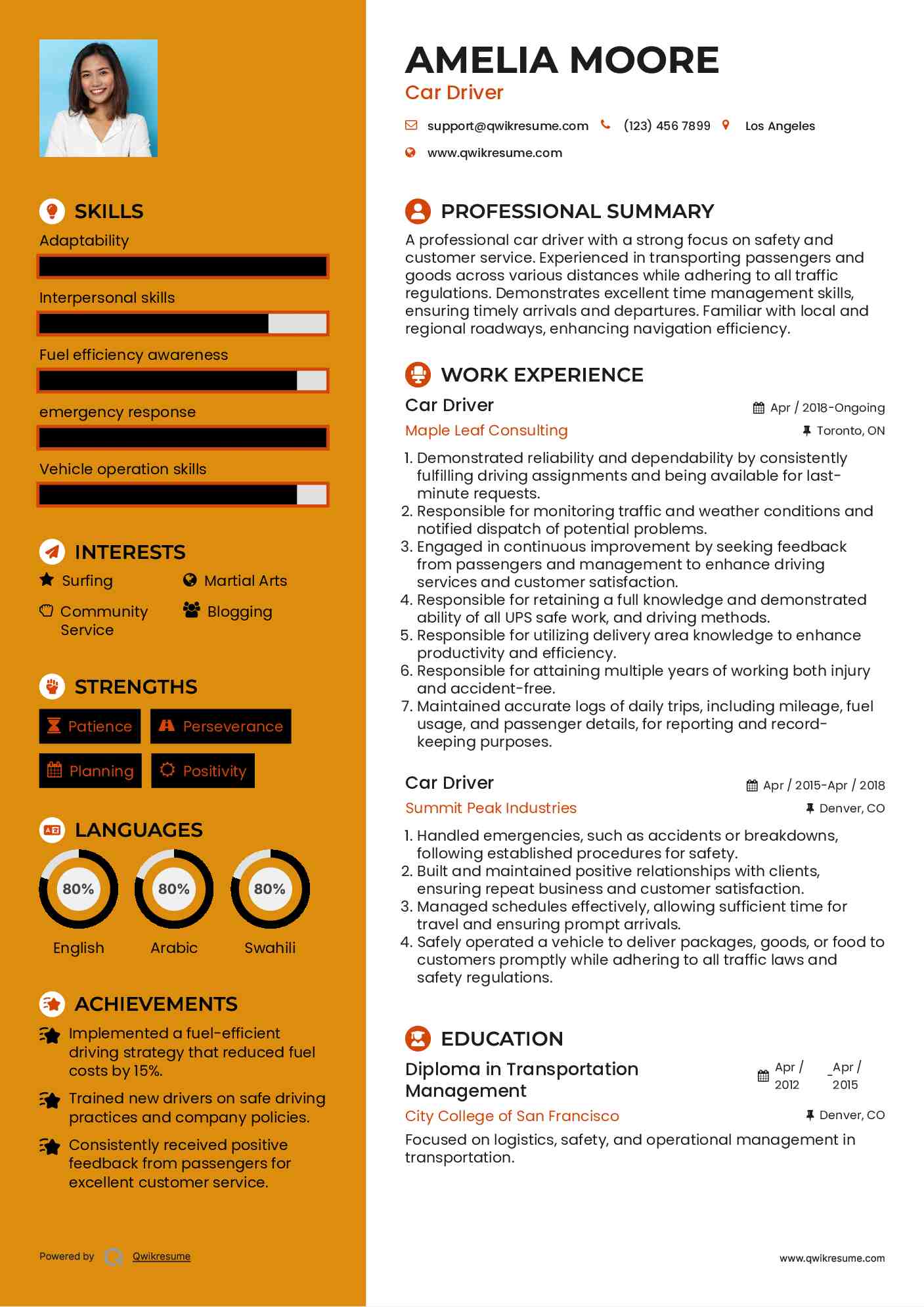 Car Driver Resume Template