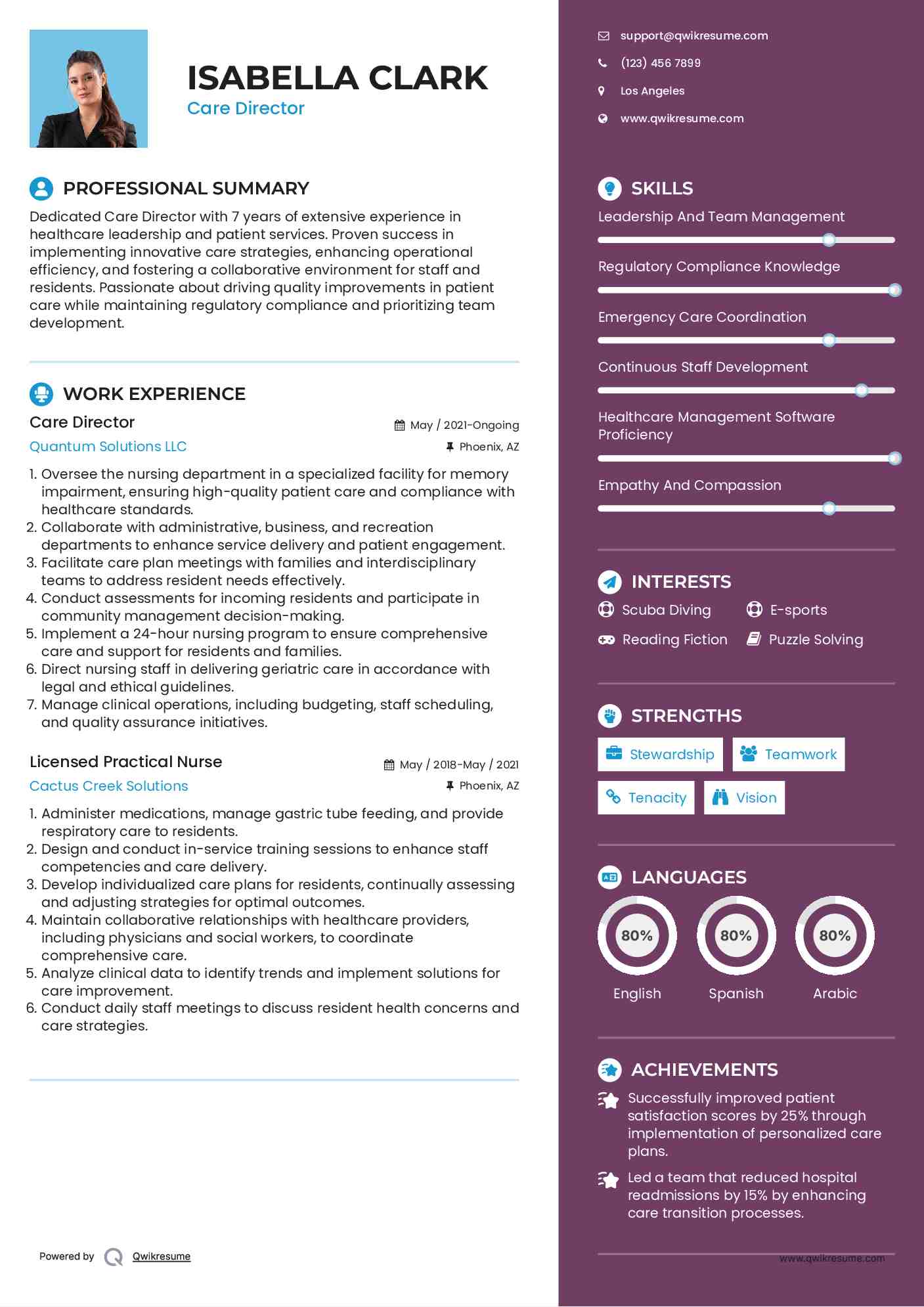 Care Director Resume Sample