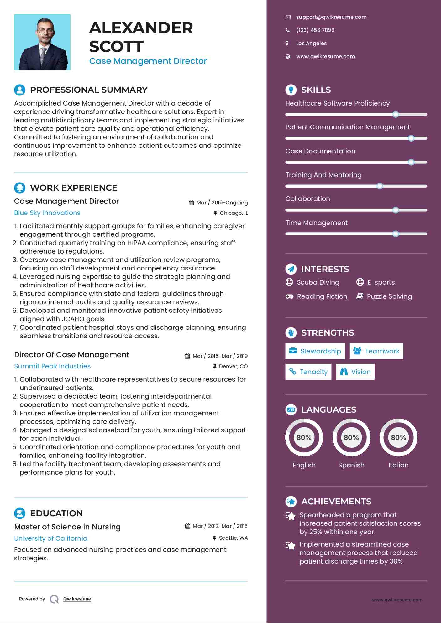 Case Management Director Resume Model