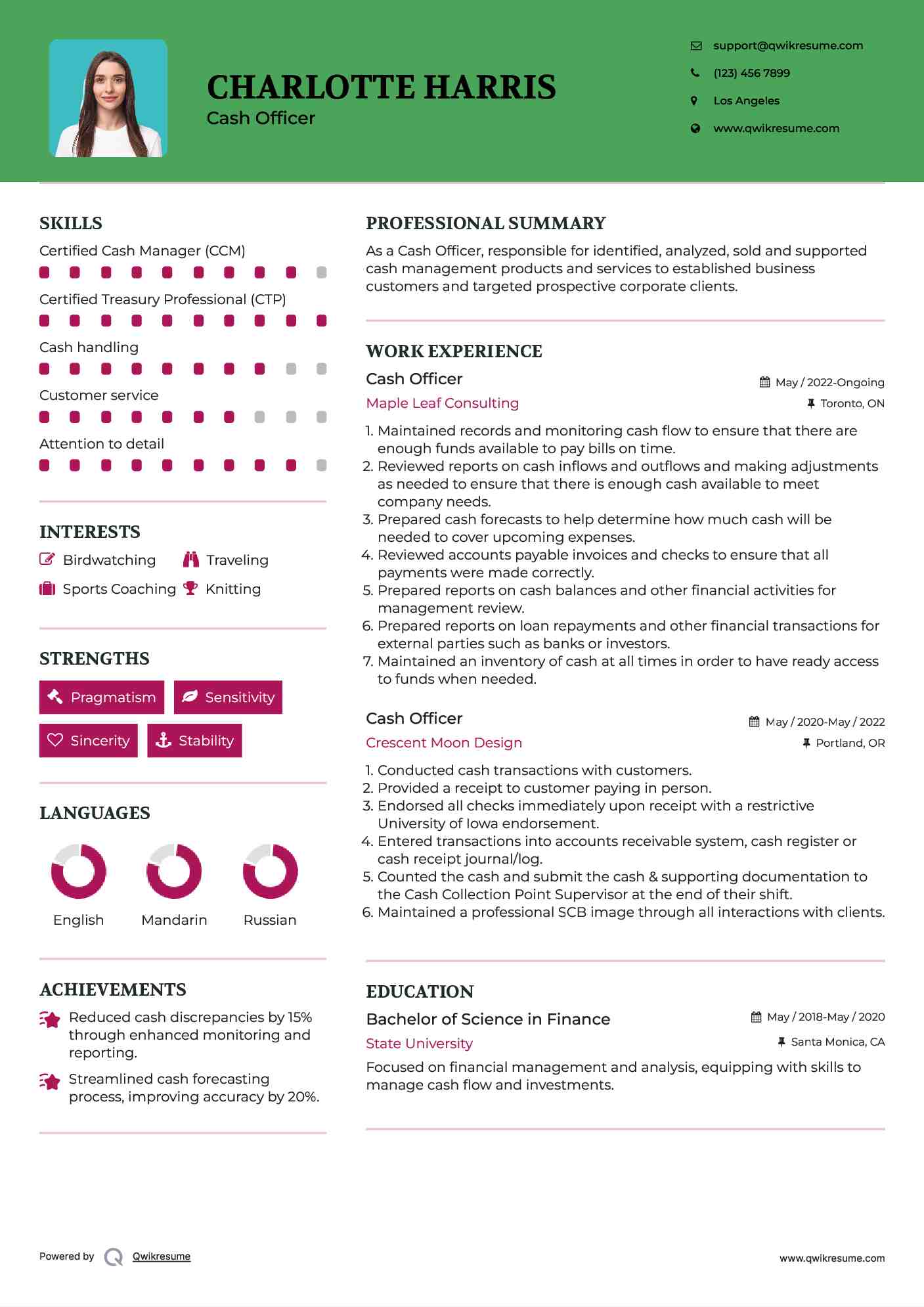 Cash Officer Resume Model