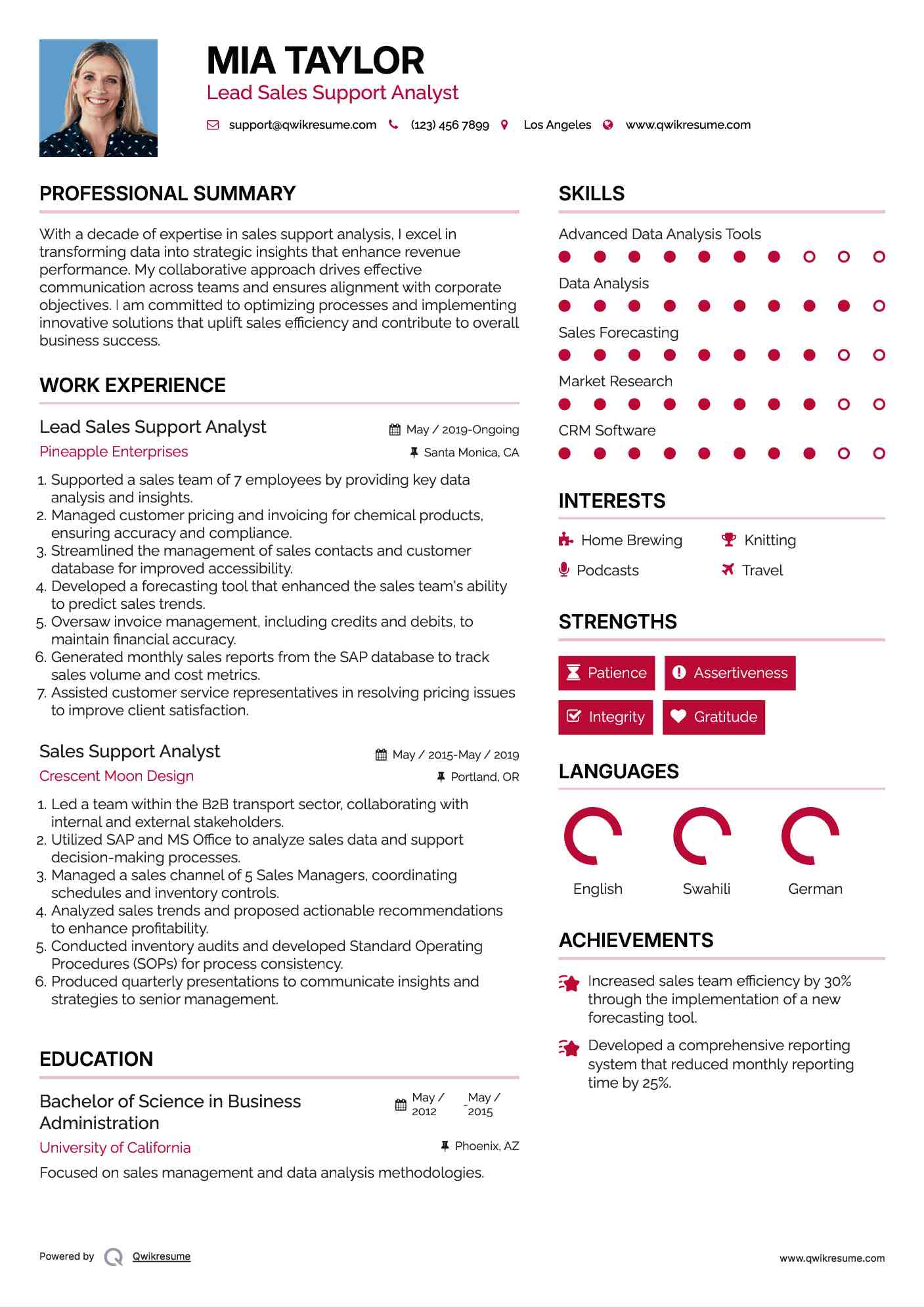 Lead Sales Support Analyst Resume Sample