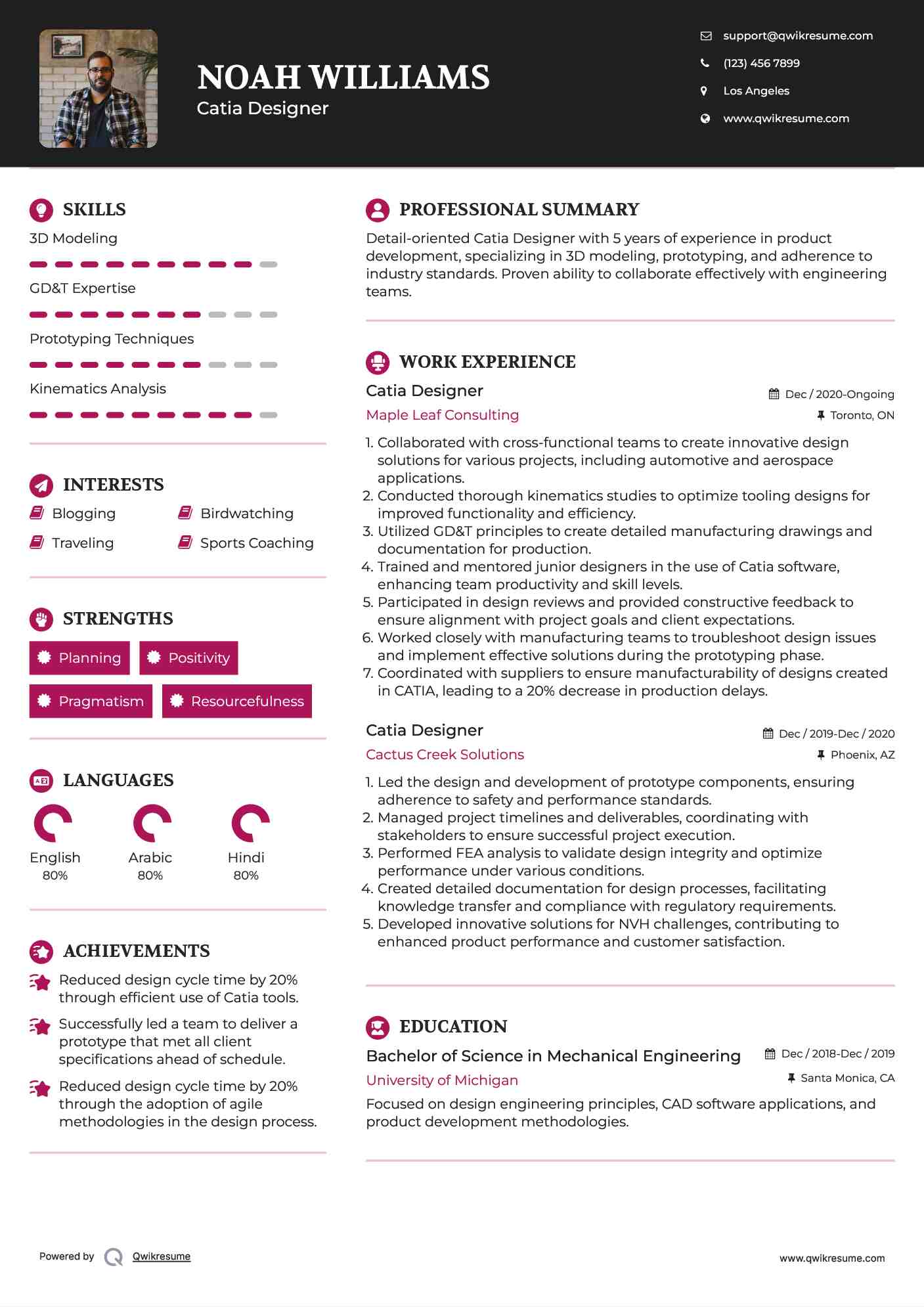Catia Designer Resume Sample