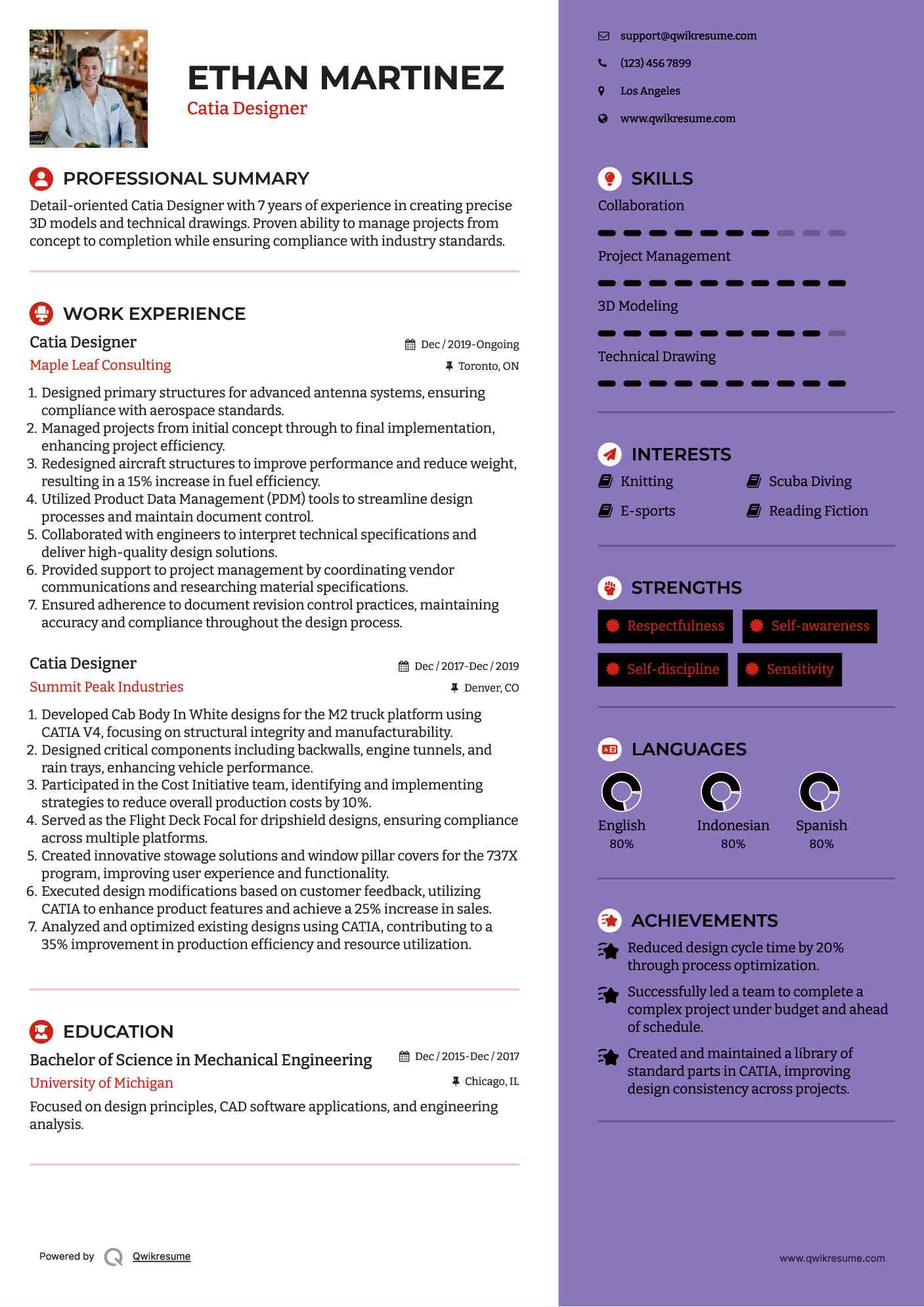 Catia Designer Resume Format