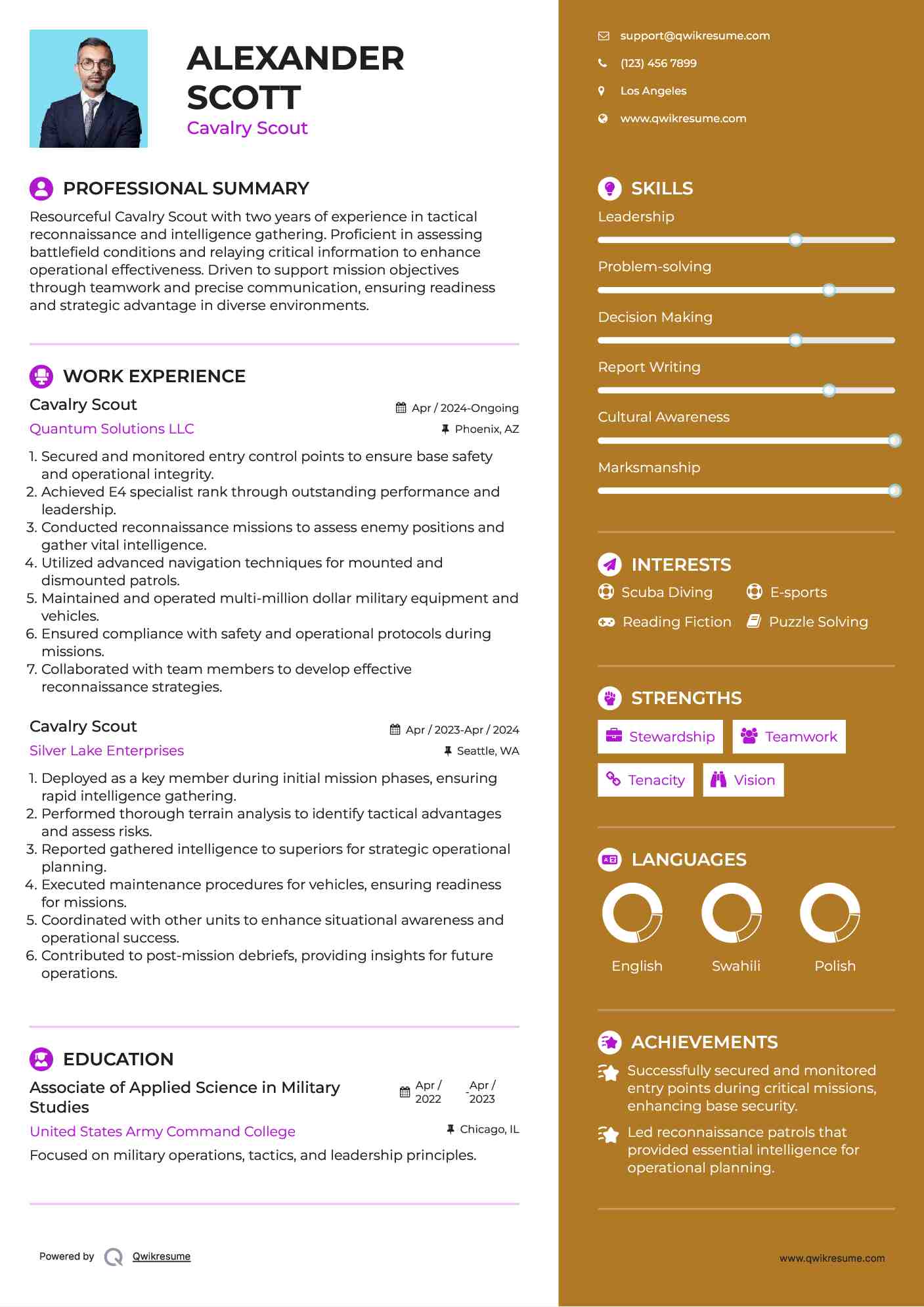 Cavalry Scout Resume Template