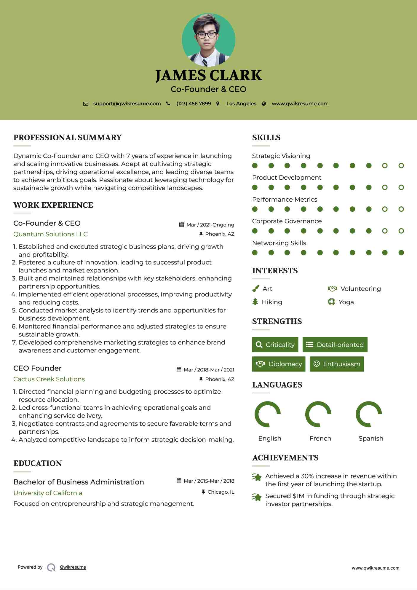 Co-Founder & CEO Resume Model