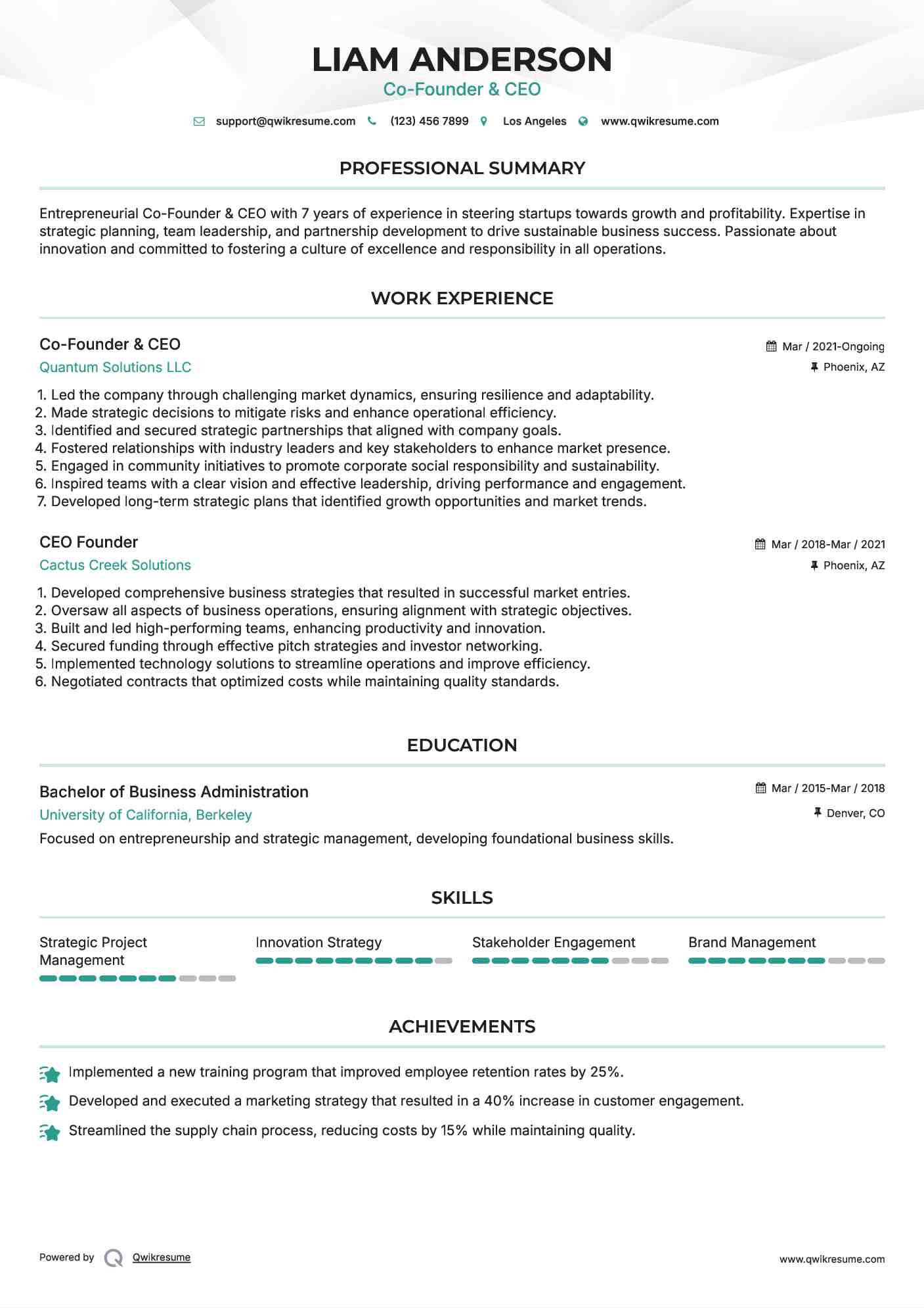 Co-Founder & CEO Resume Model
