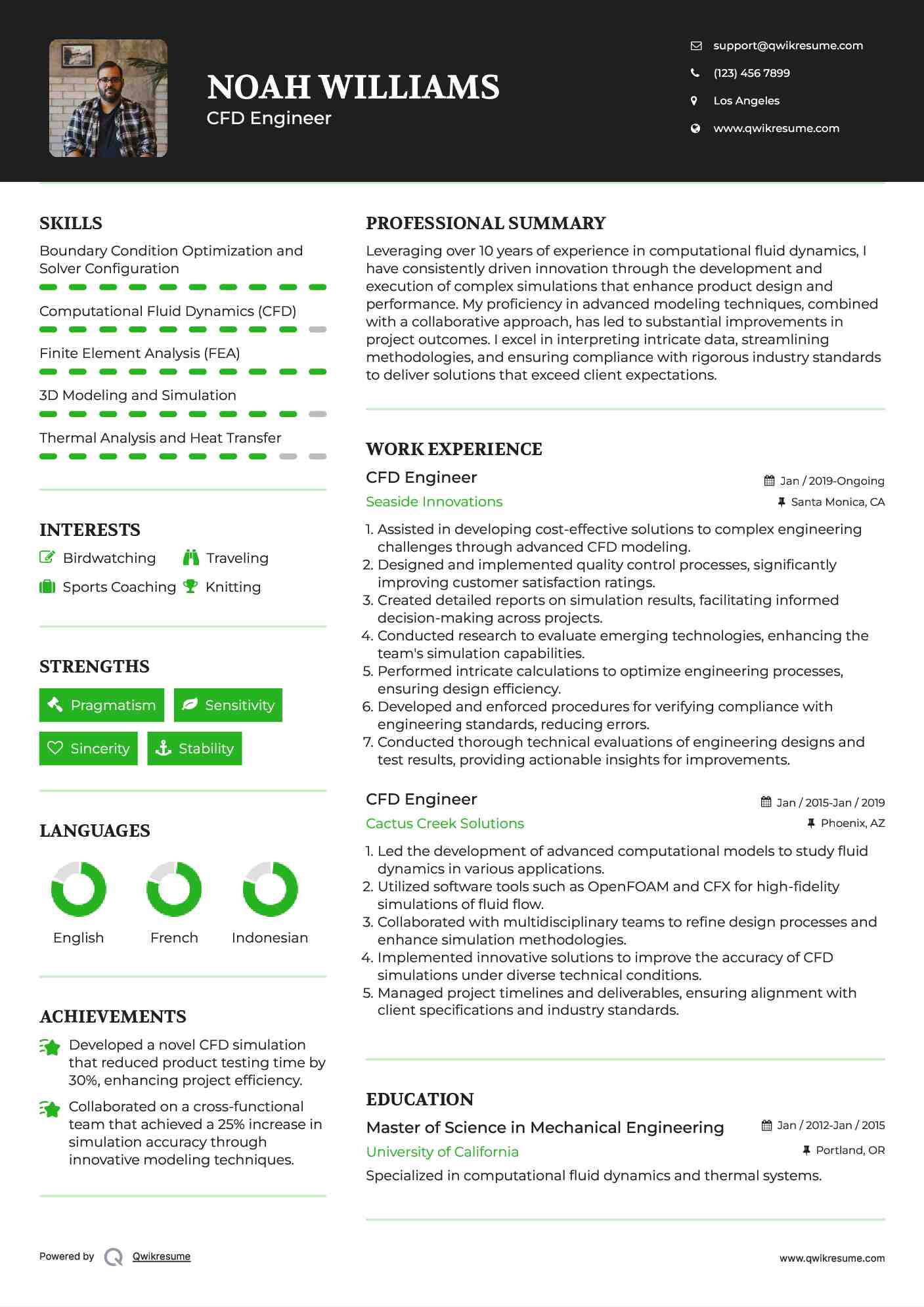 CFD Engineer Resume Example