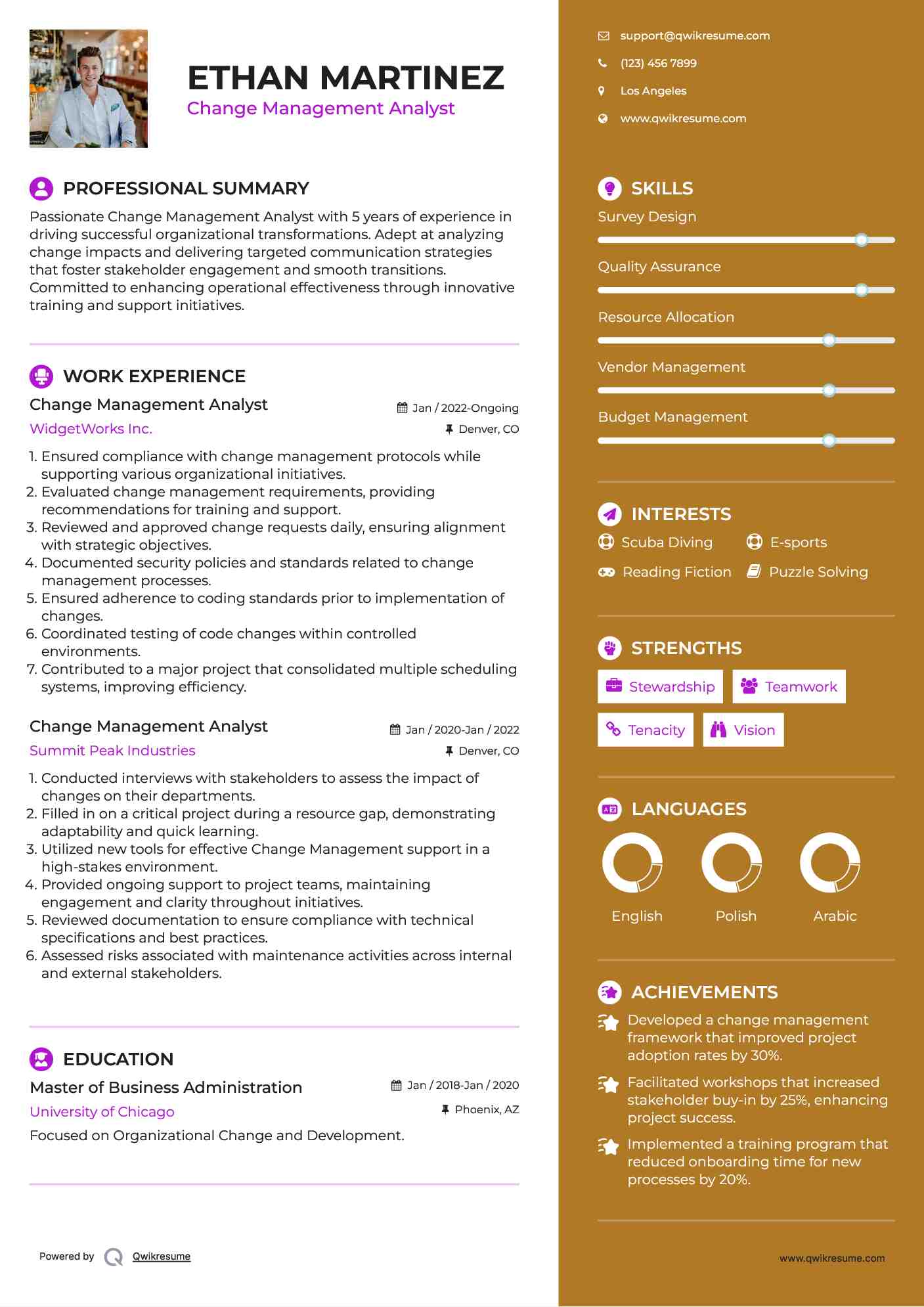 Change Management Analyst Resume Example