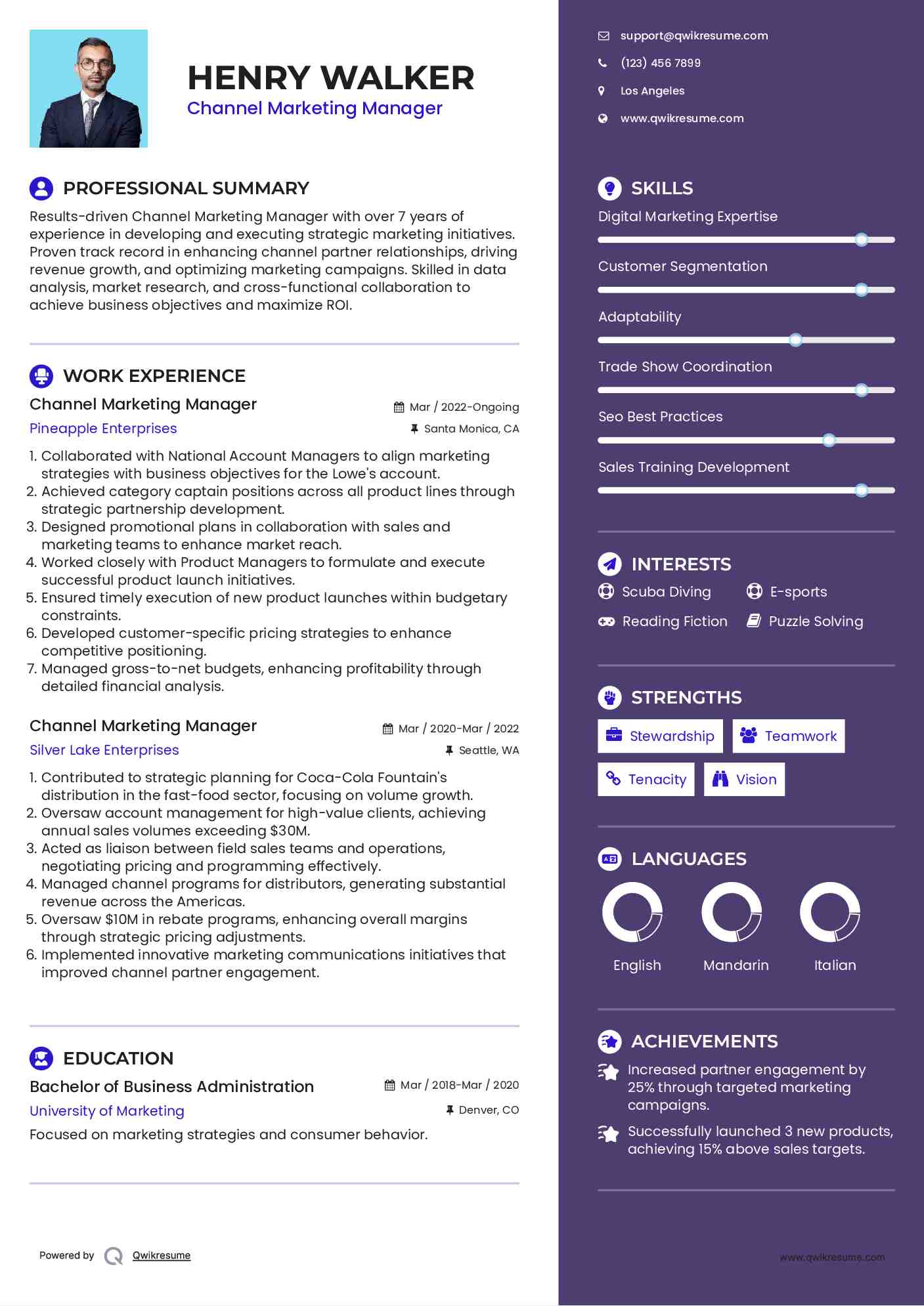 Channel Marketing Manager Resume Sample