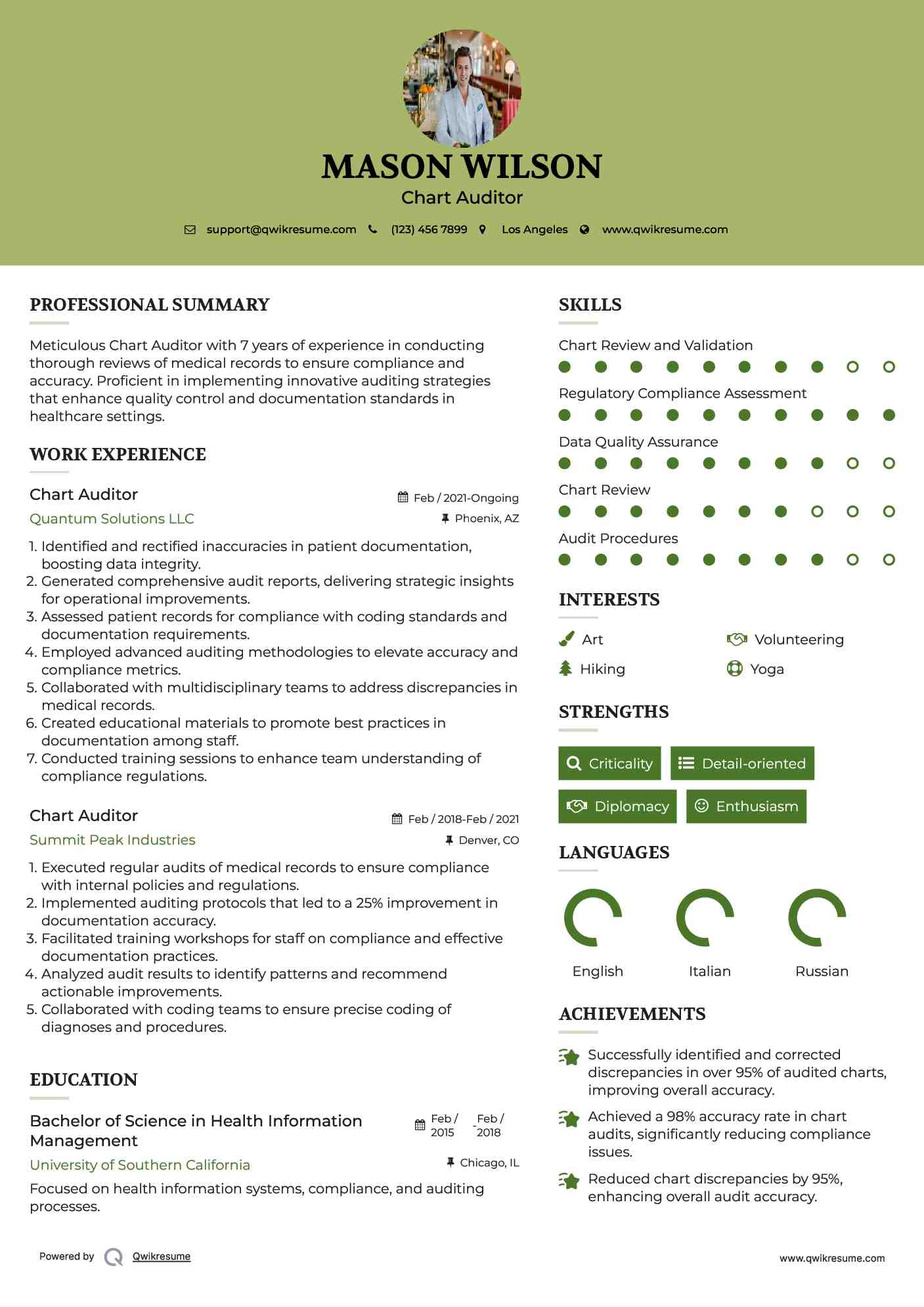 Chart Auditor Resume Example