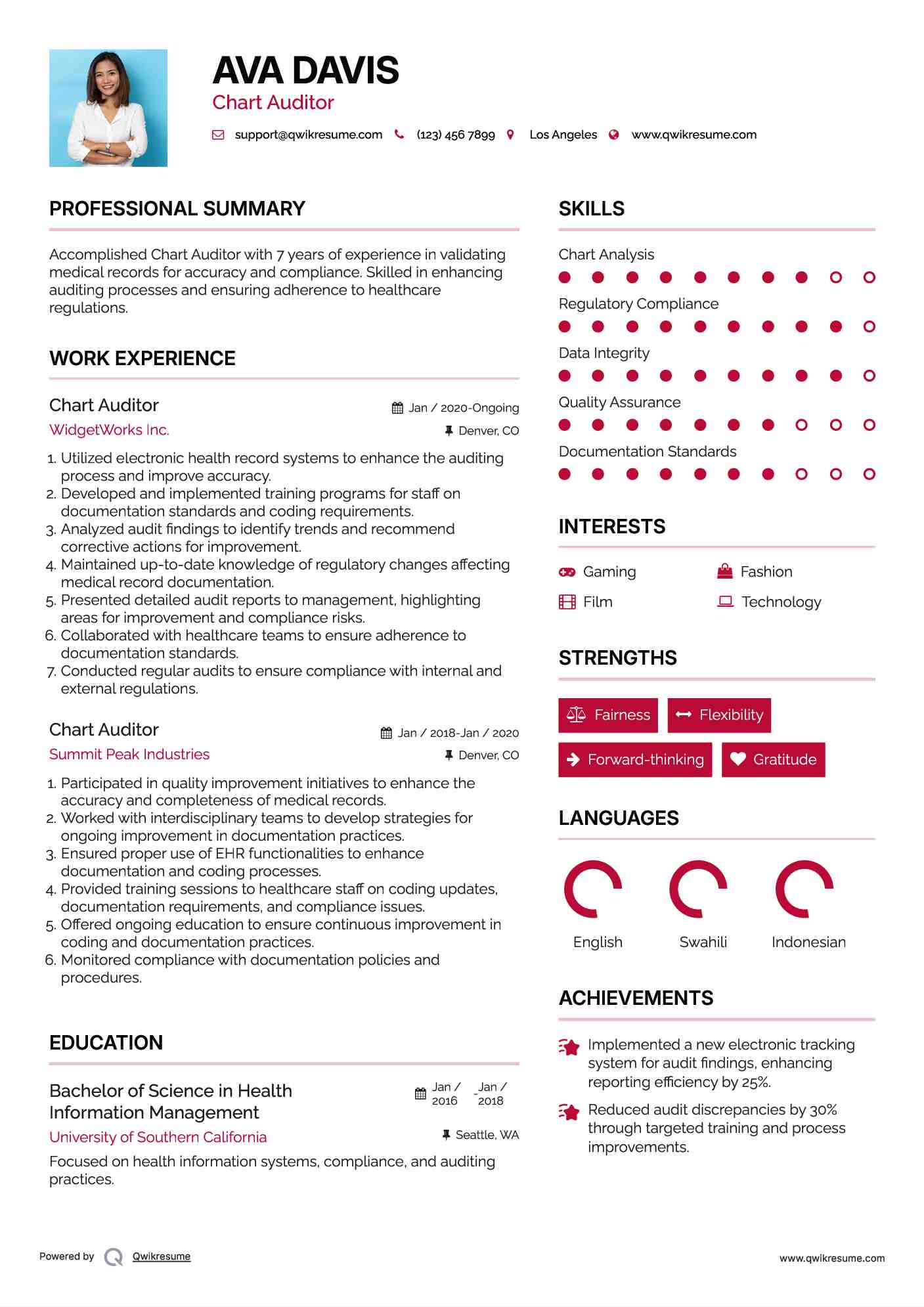 Chart Auditor Resume Template