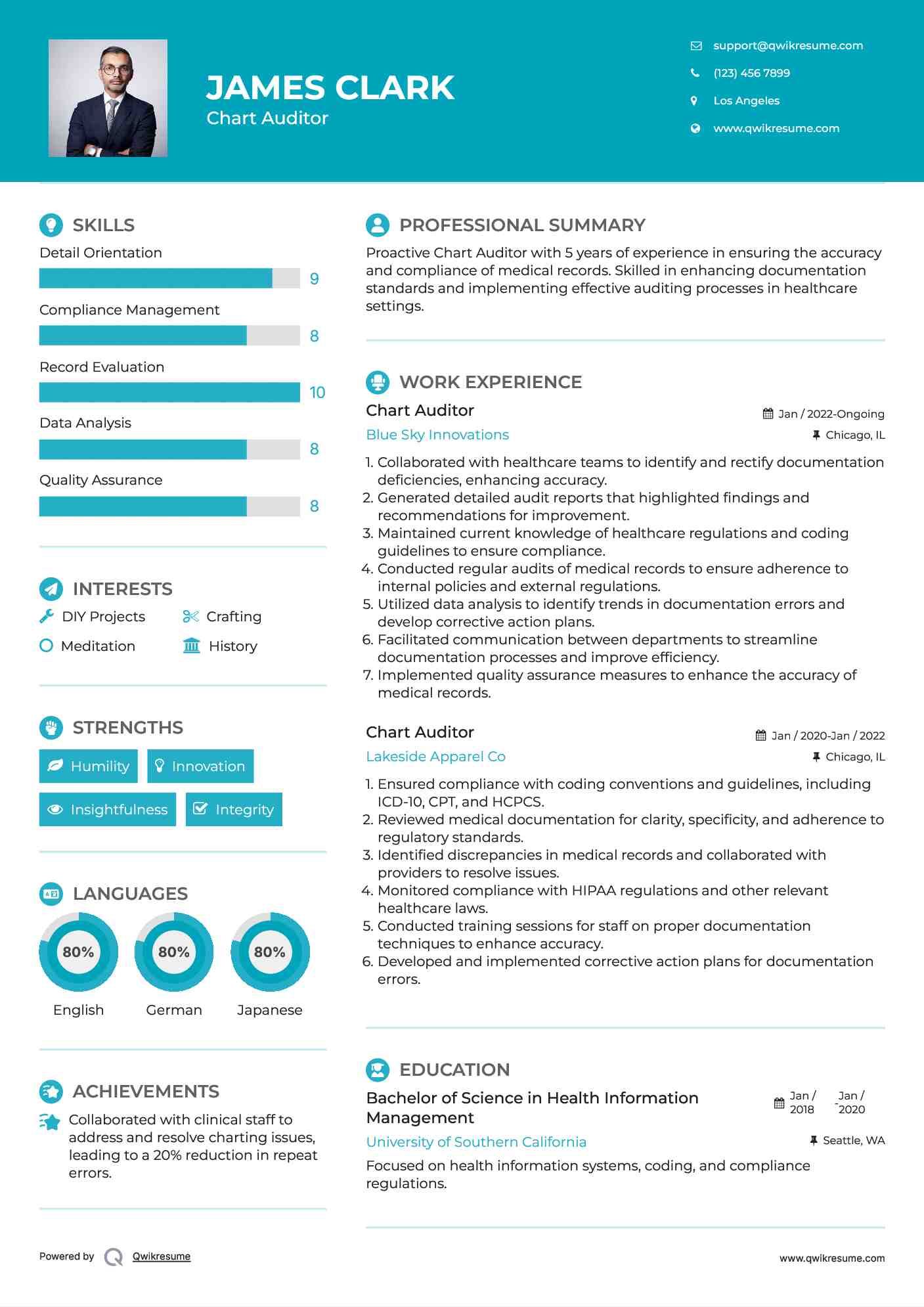 Chart Auditor Resume Model