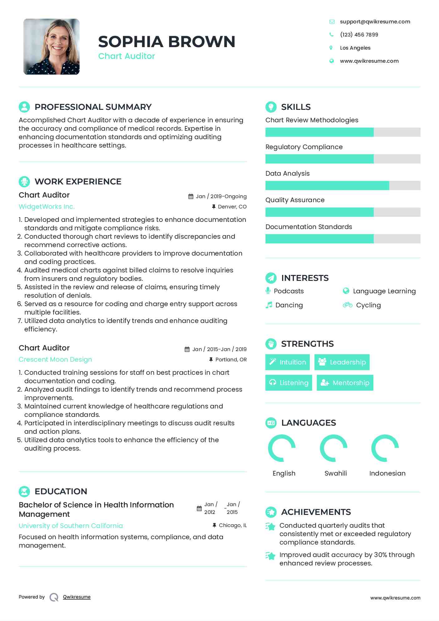 Chart Auditor Resume Example