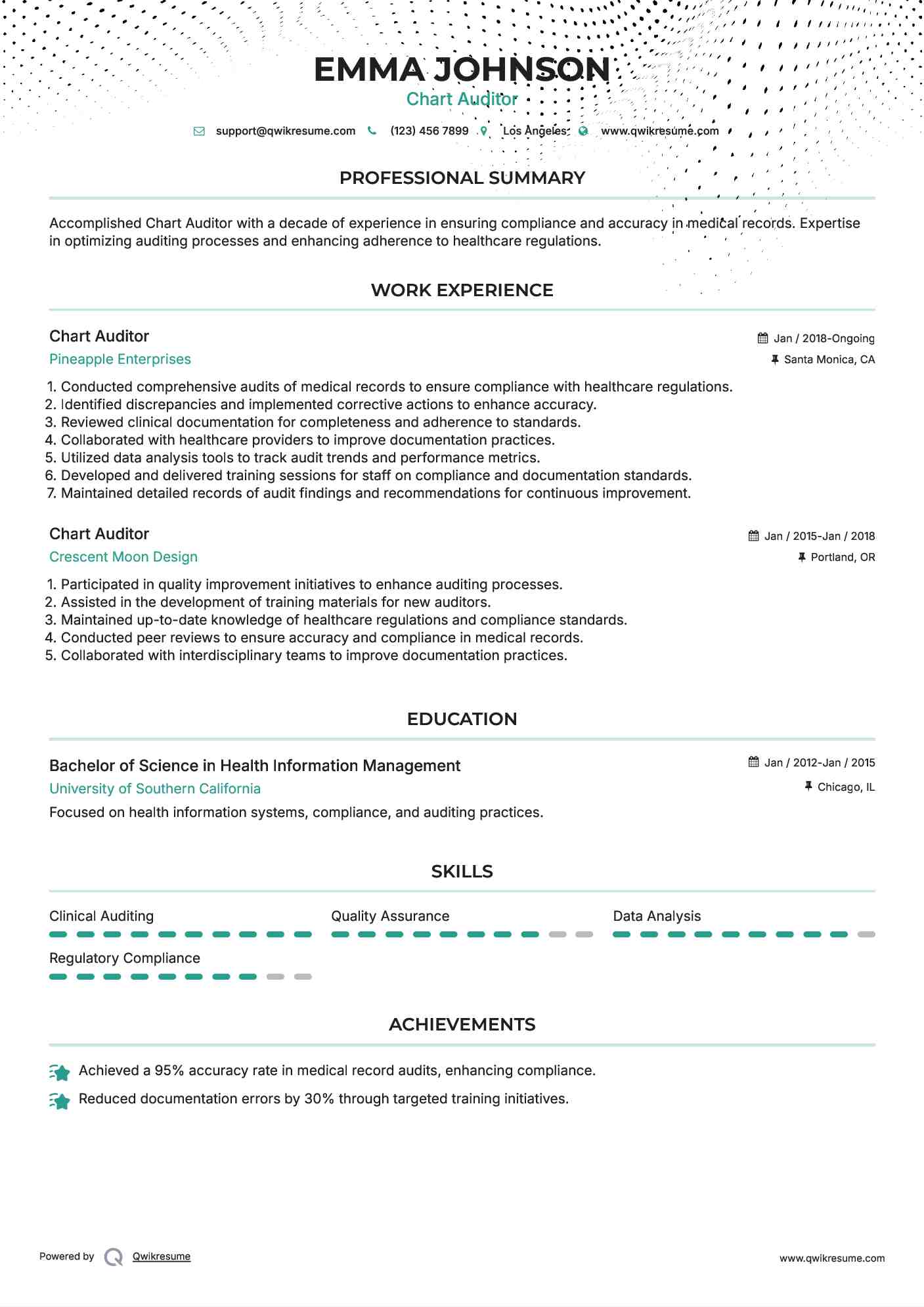 Chart Auditor Resume Sample