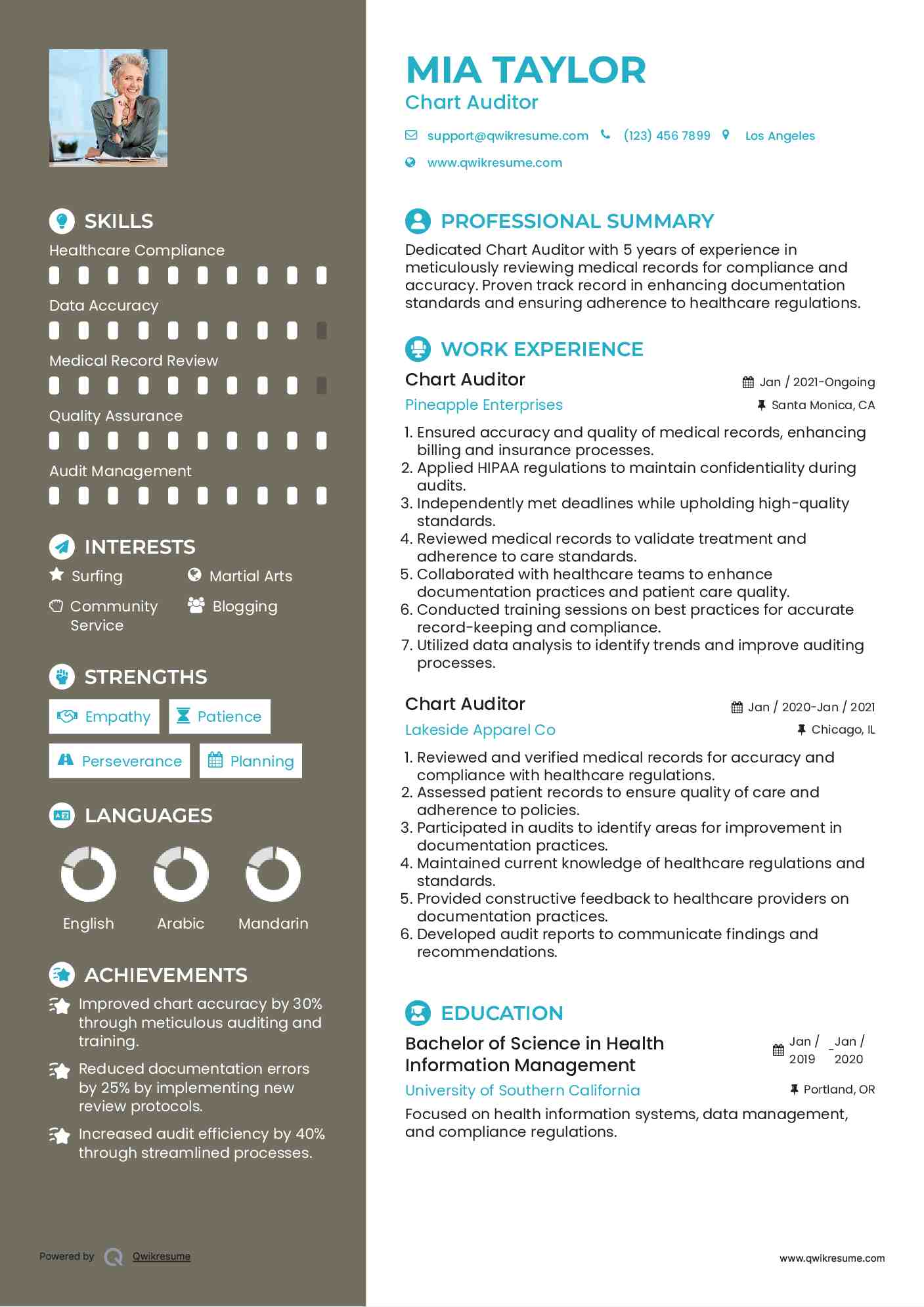 Chart Auditor Resume Model